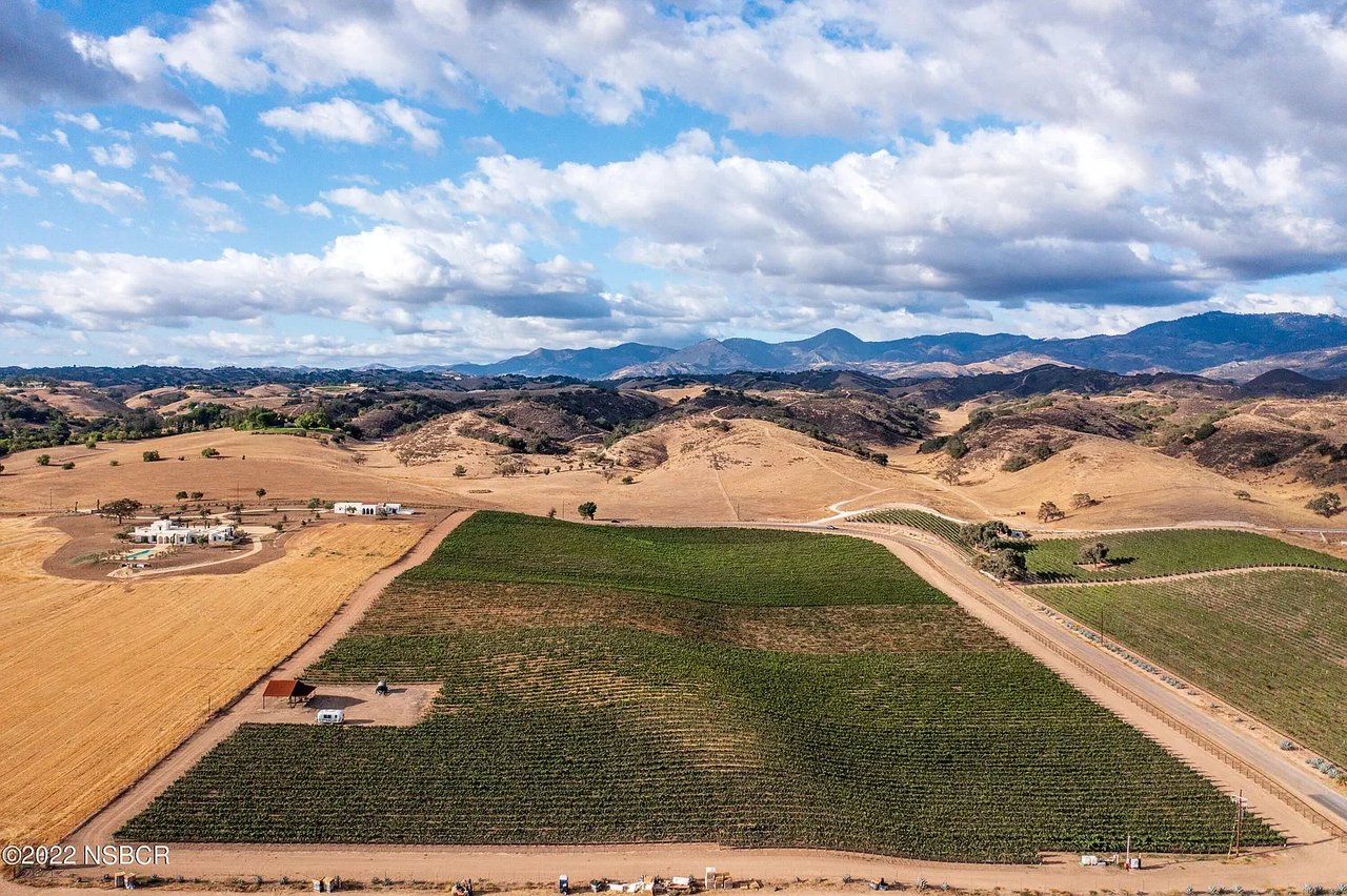 Build your Dream Vineyard Estate