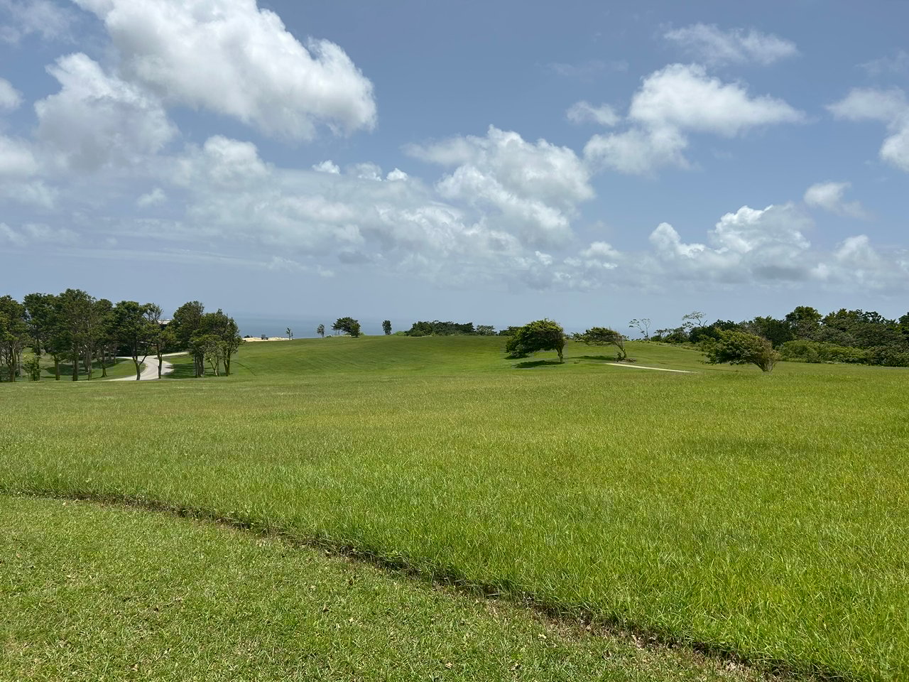 Apes Hill, Holders Meadow, H16
