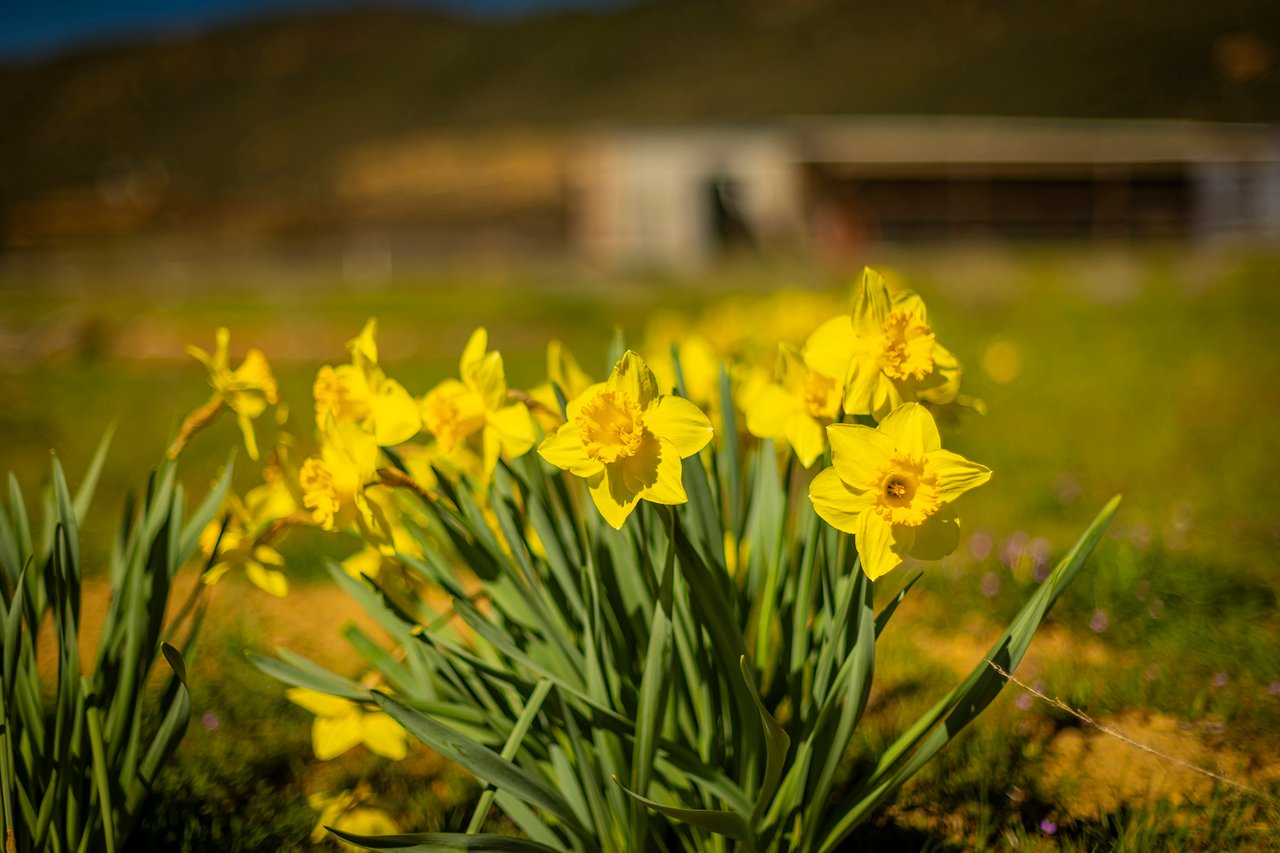 40 Acres Private Off-Grid Property