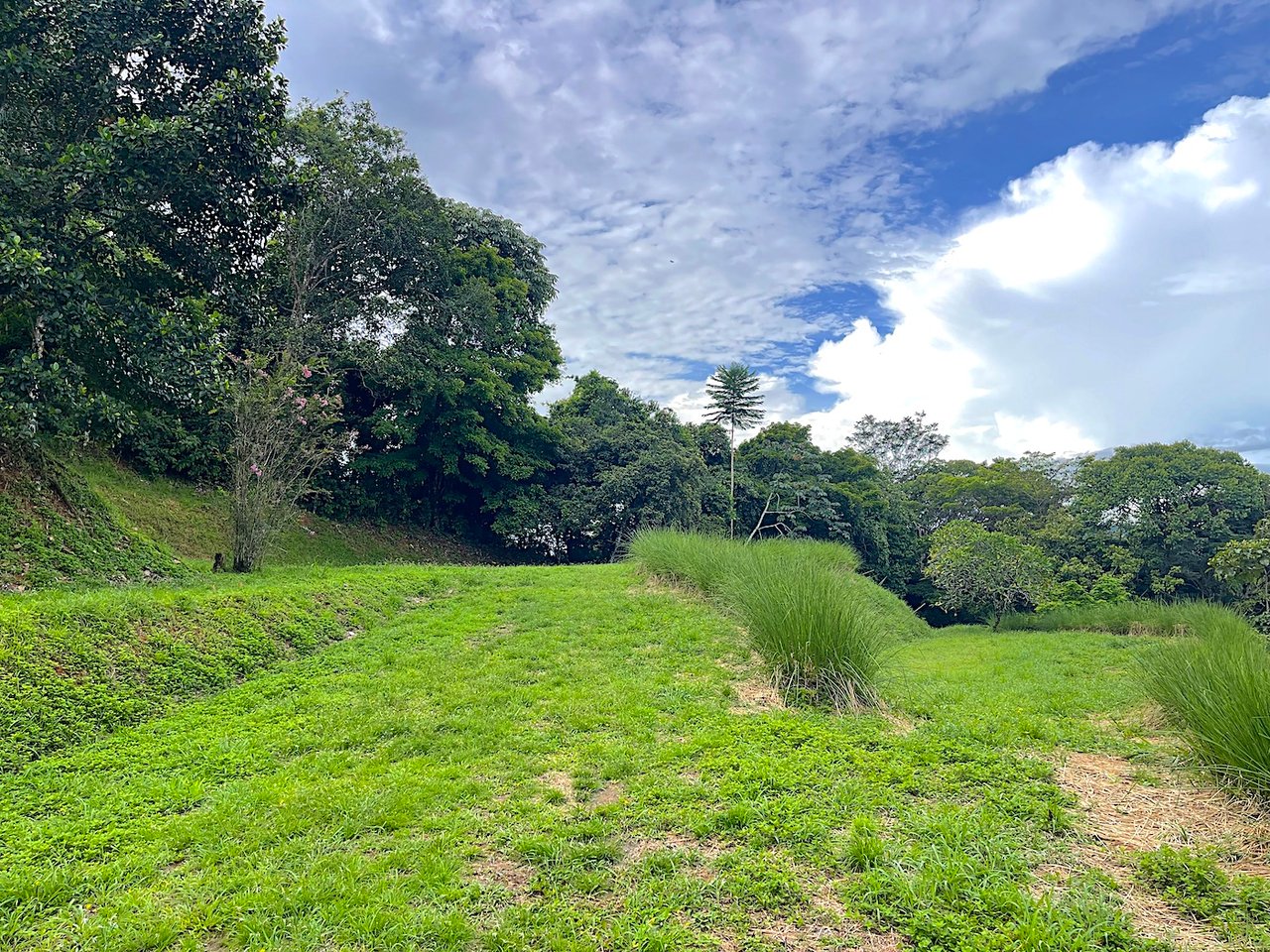 SPECTACULAR MOUNTAIN AND PARTIAL OCEAN VIEW PROPERTY