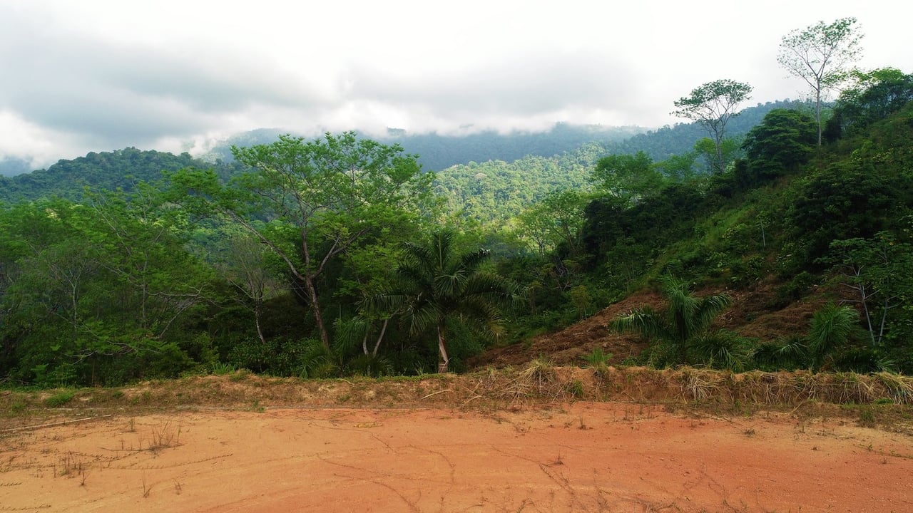 Ocean View Gated Development Land, Ojochal, Puntarenas