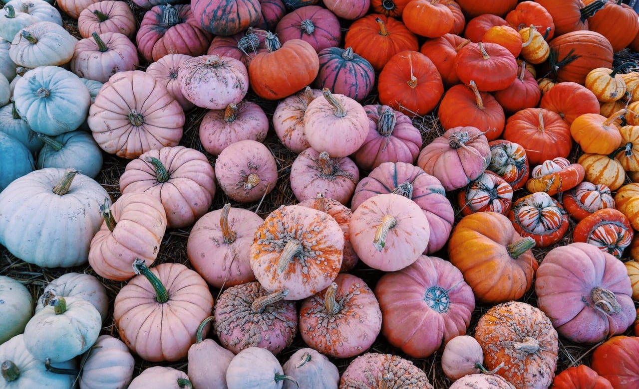 Discover Fun Harvest Events in Paso Robles