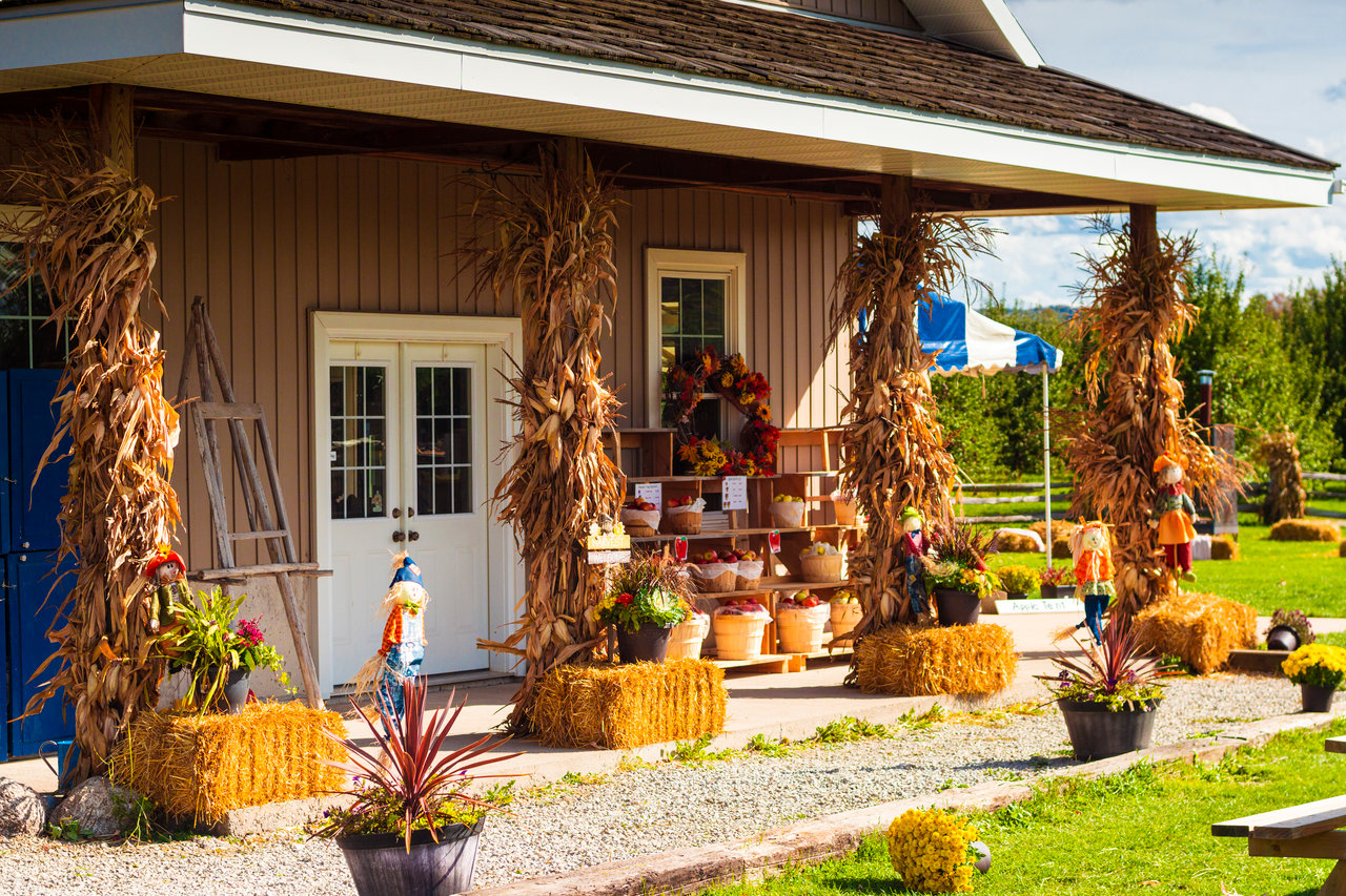 The Best Things to Do This Fall in Kawartha Lakes