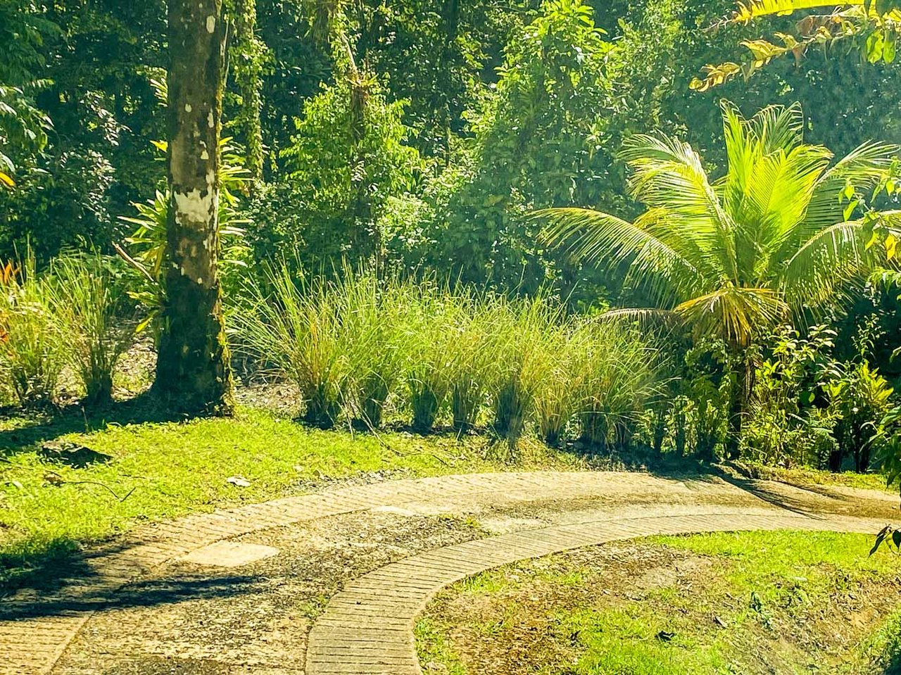 3 Bedroom Rainforest Home in Ojochal With River & Waterfall | 3.5 Acres Private