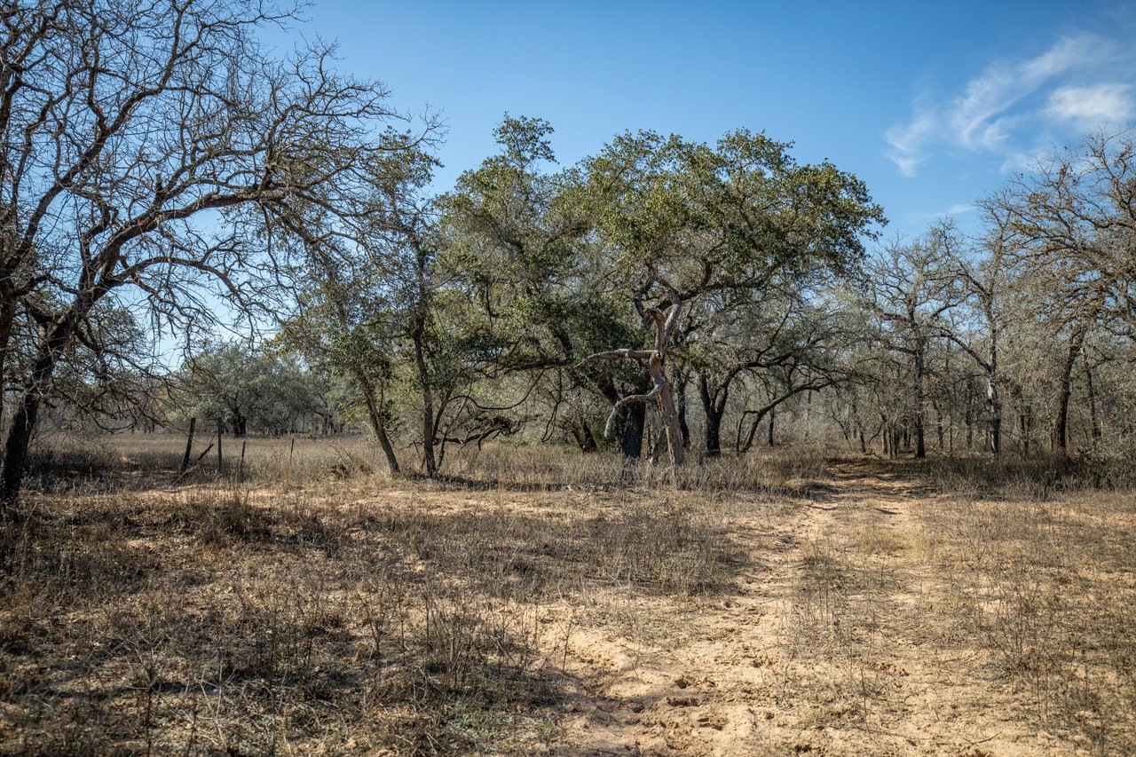 Whispering Pines Floresville Ranch | 298± Acres | Wilson County