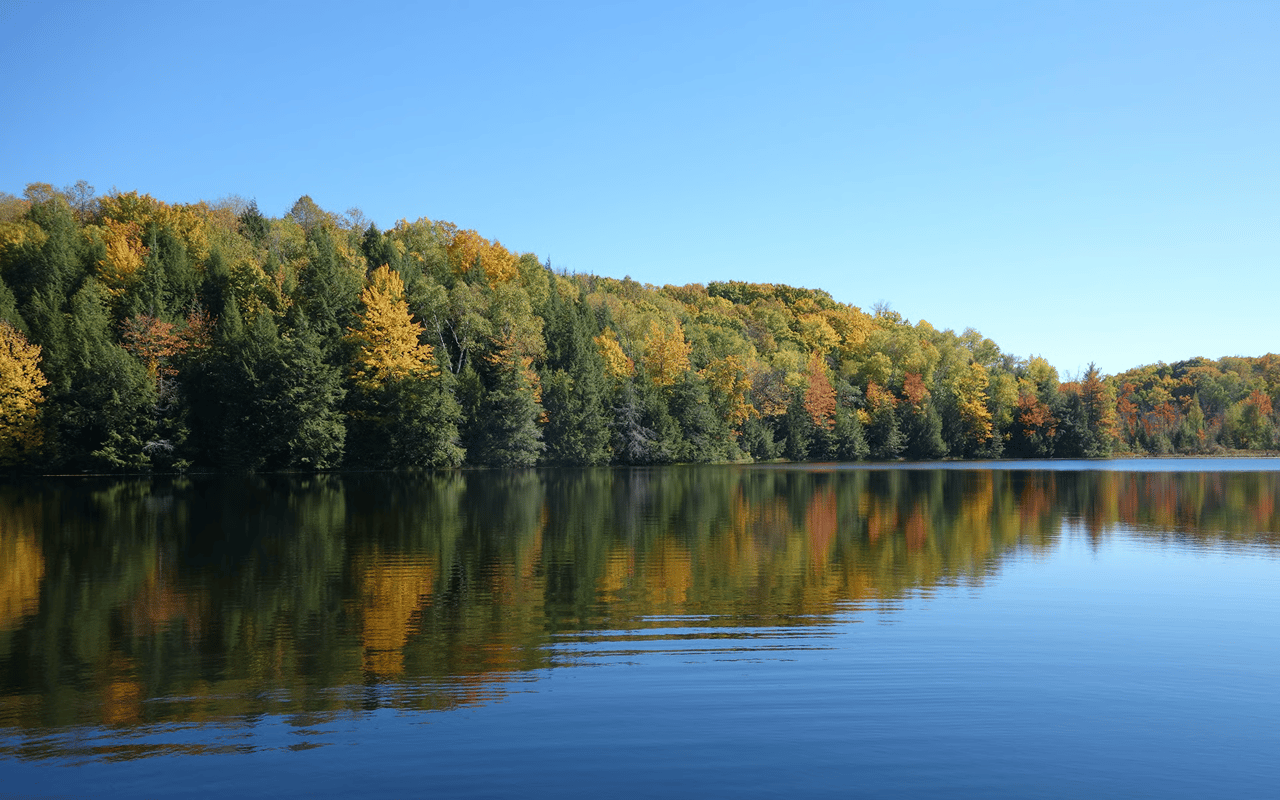Norris Lake
