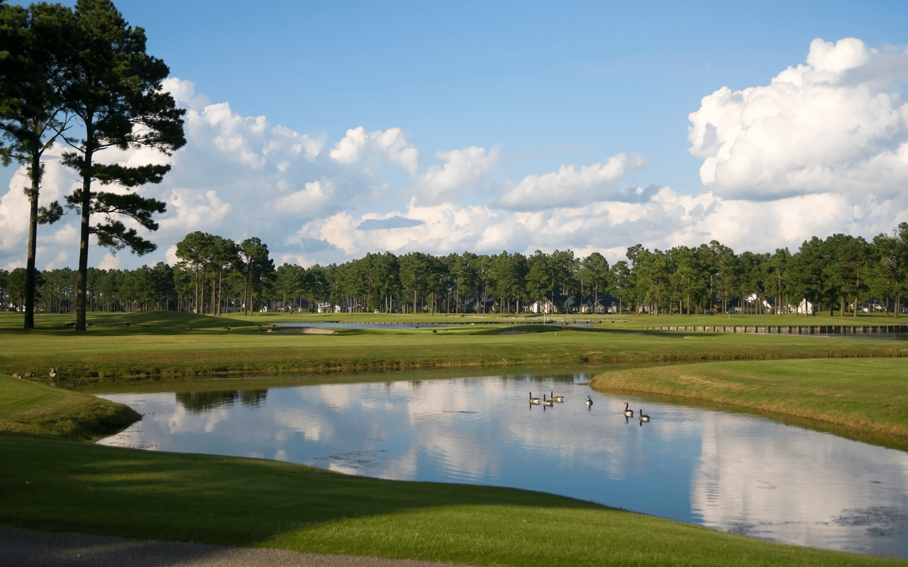 Ridglea North