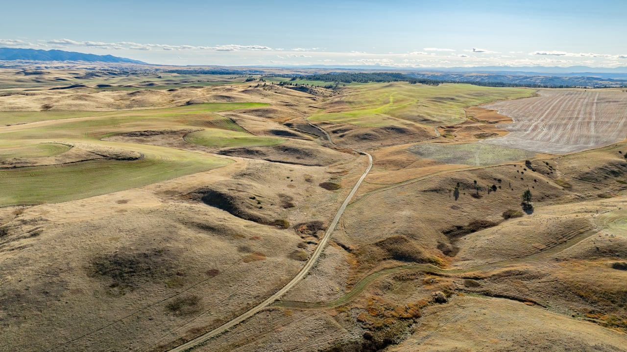 Salt Creek Ranch