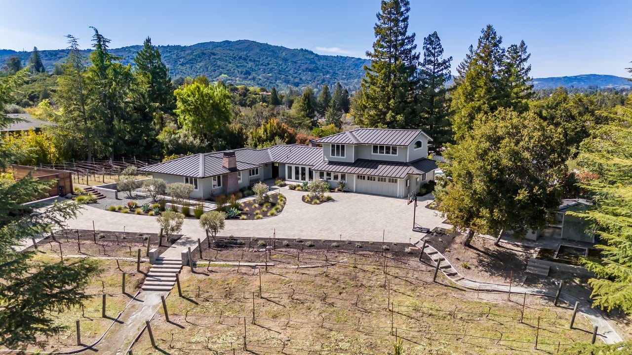 114 Nina CT