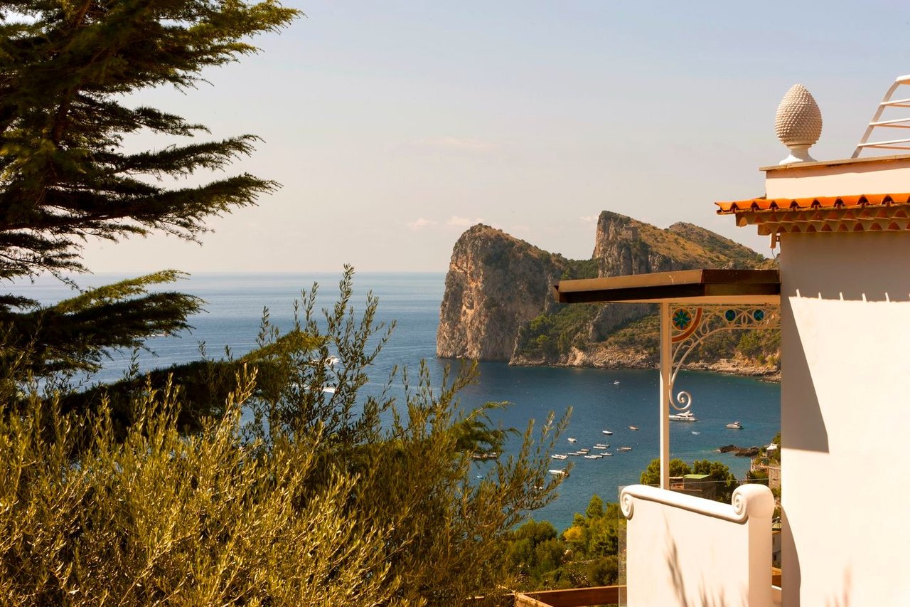 Reintroduce the Villa Bepina