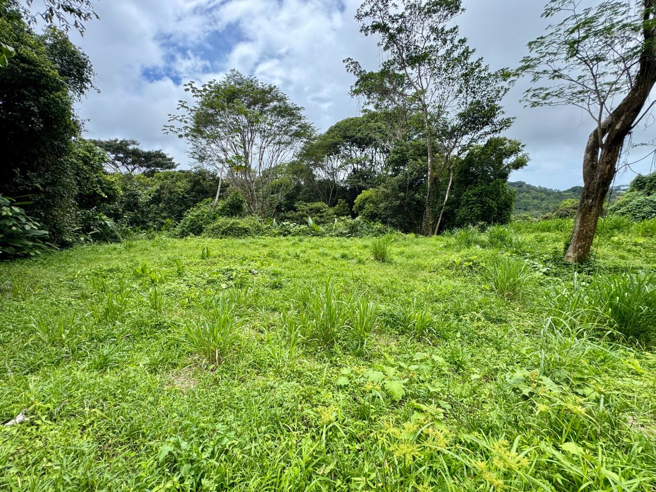 3 ACRES – Beautiful Mountain View Property, Small Ocean Window, Public Road Frontage, Multiple Building Sites, Many Fruit Trees!!!!