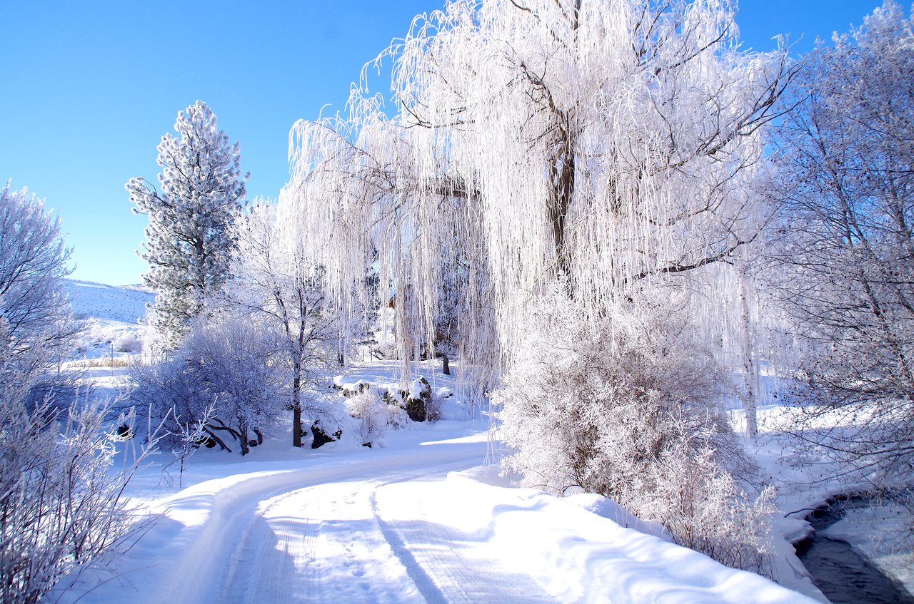 Idaho Winters