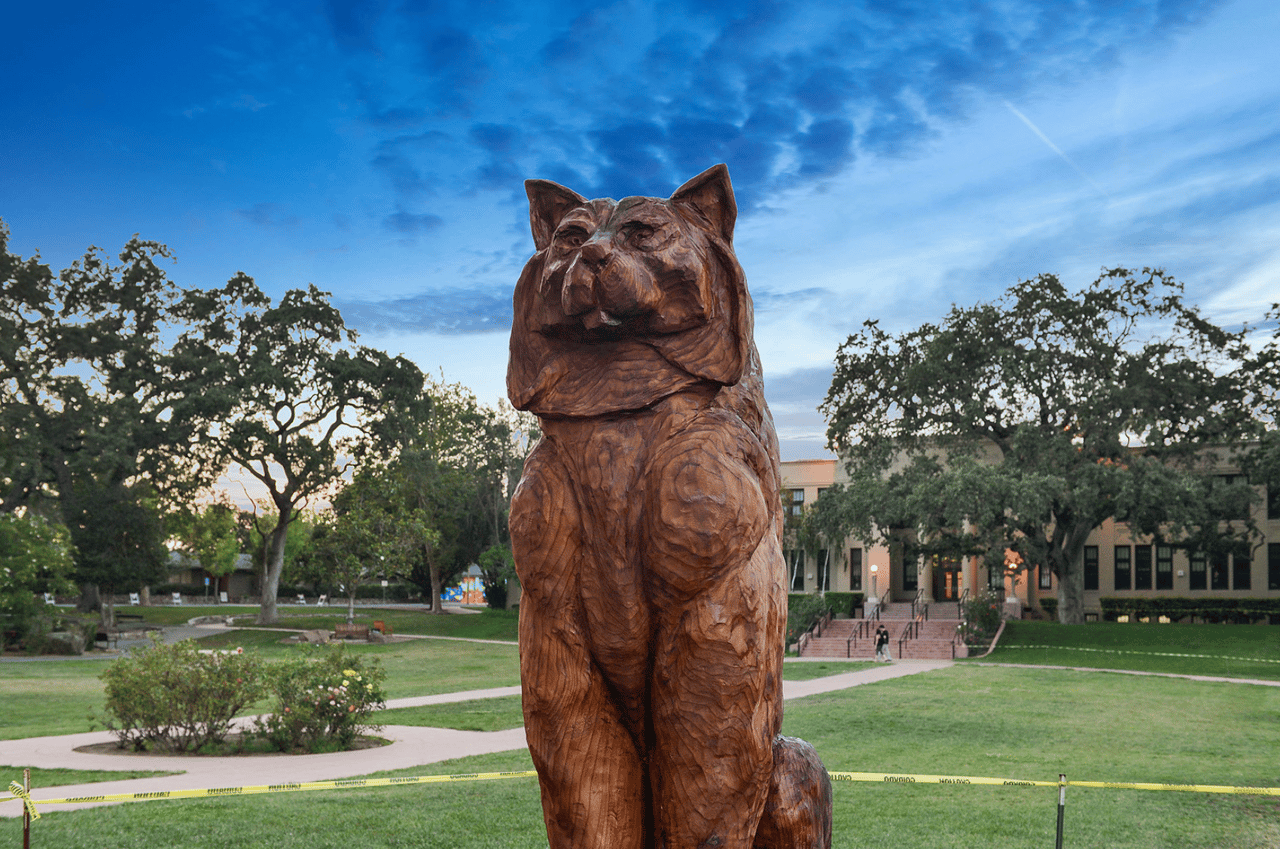 Greeting passersby in front of Los Gatos High is a unique sculpture of the schools mascot, the Wildcat. 
