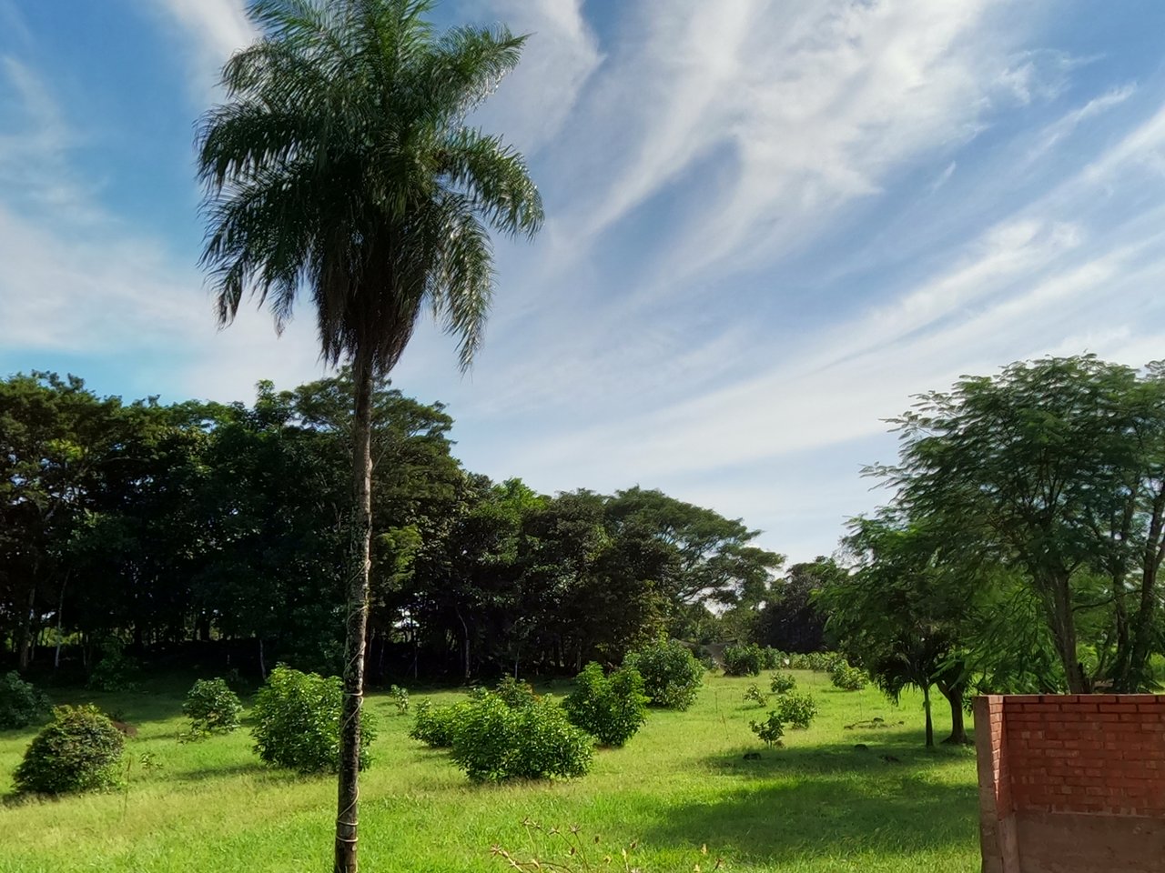 Serenity Ranch Avocado Farm | Countryside Agricultural Land For Sale in La Cruz