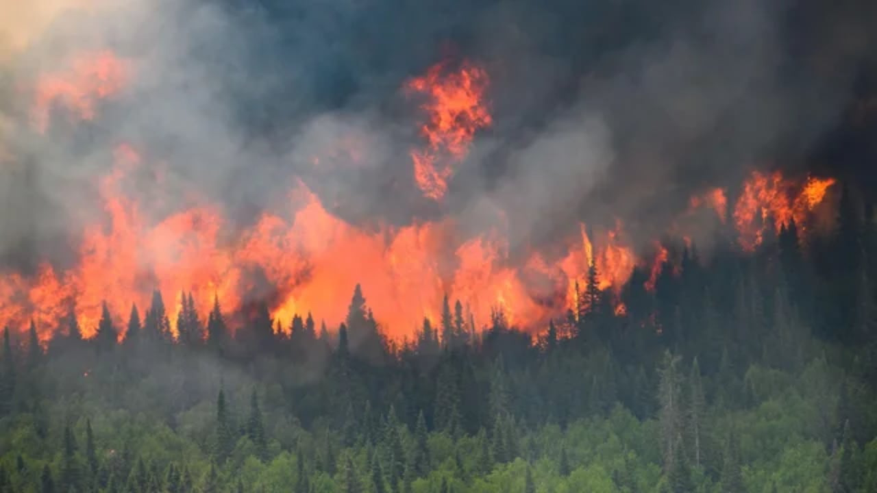 Minnesota Could See Two Weeks of Wildfire Smoke This Summer