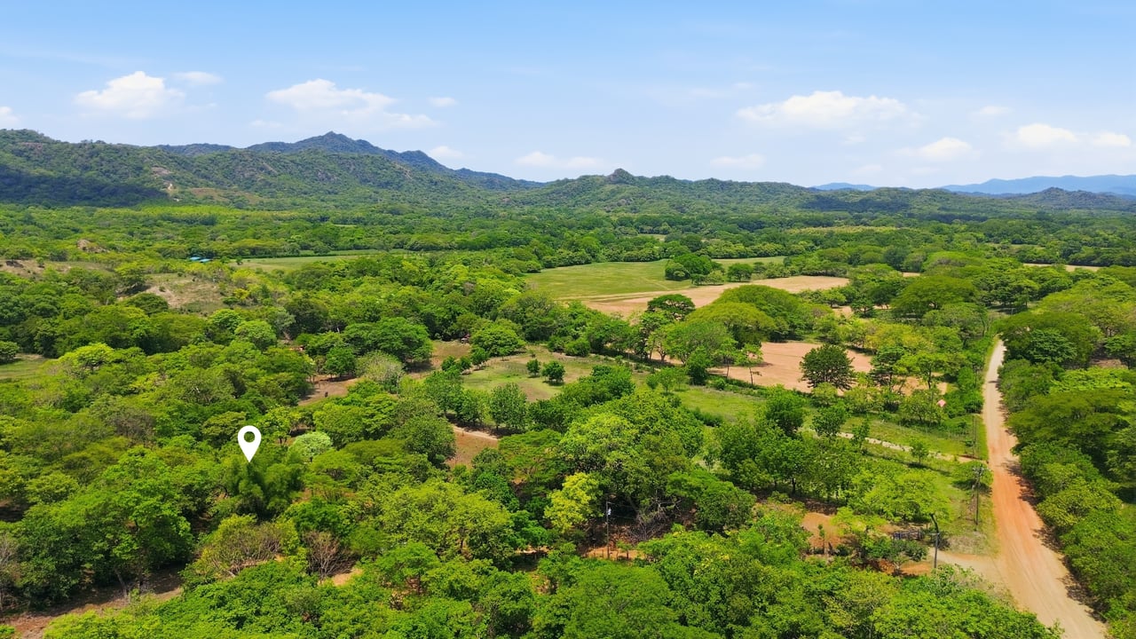 3.4 Acres of Quiet Country Living | 12 minutes from the Beach - Tempate 