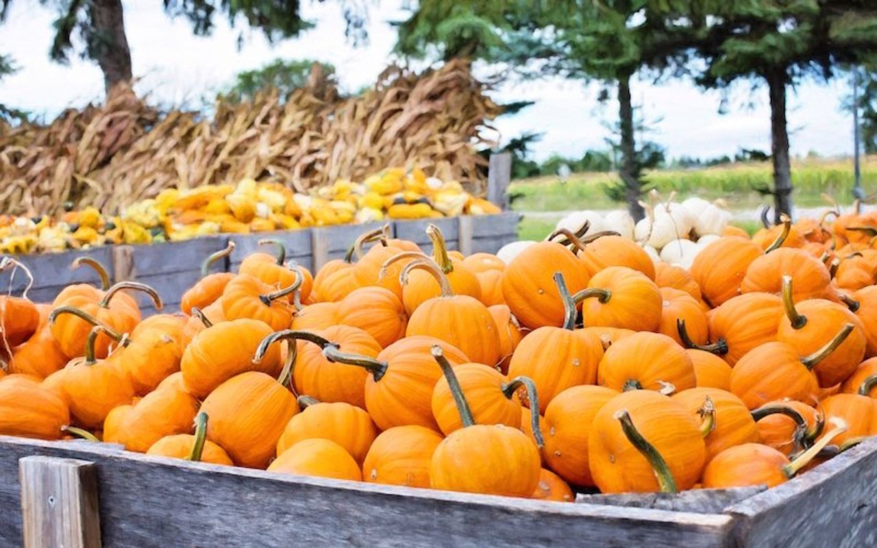 Family Friendly Halloween Activities