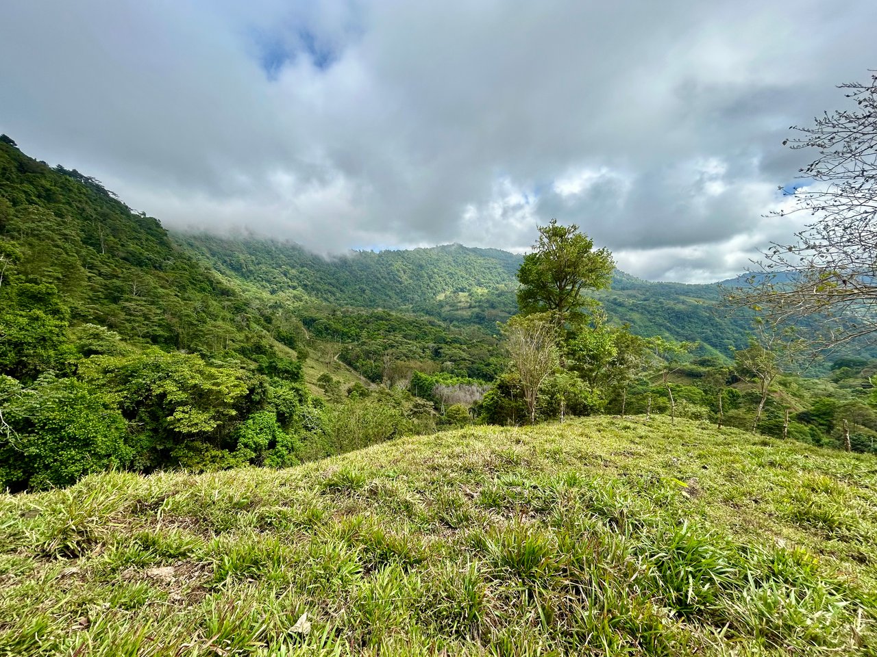 Gorgeous Land in San Luis Morete - Uvita - Over 17 Acres