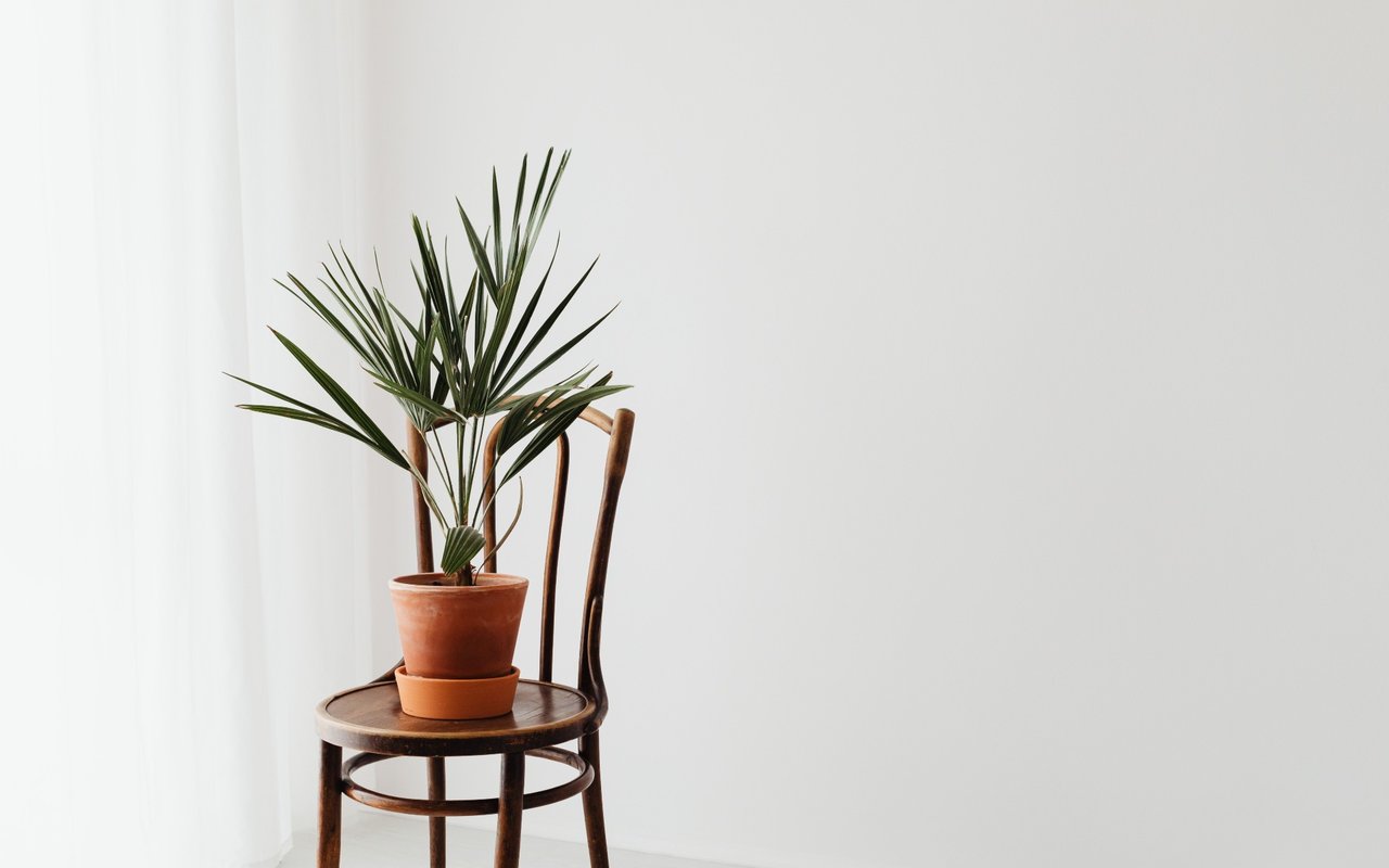 5 Simple but Essential Minimalist Design Tips To Embrace In Your Home