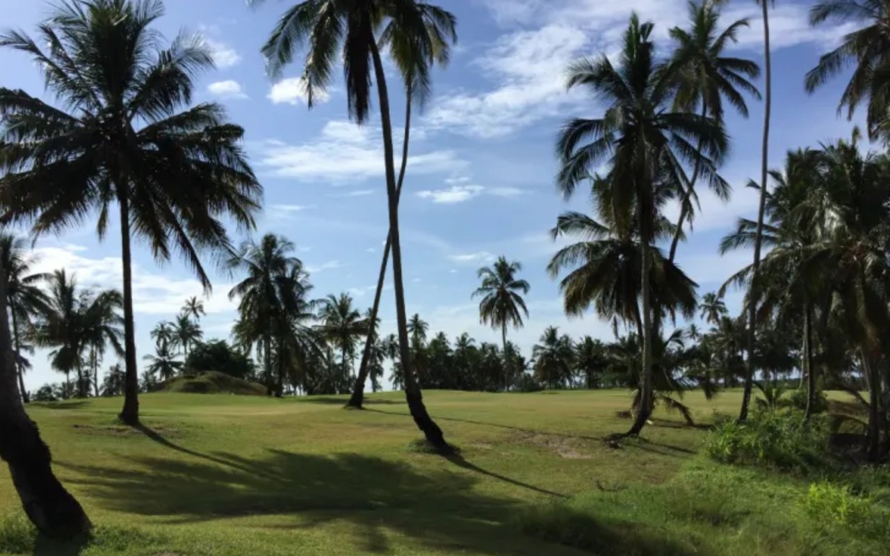 Tropical Dream at Grey Oaks