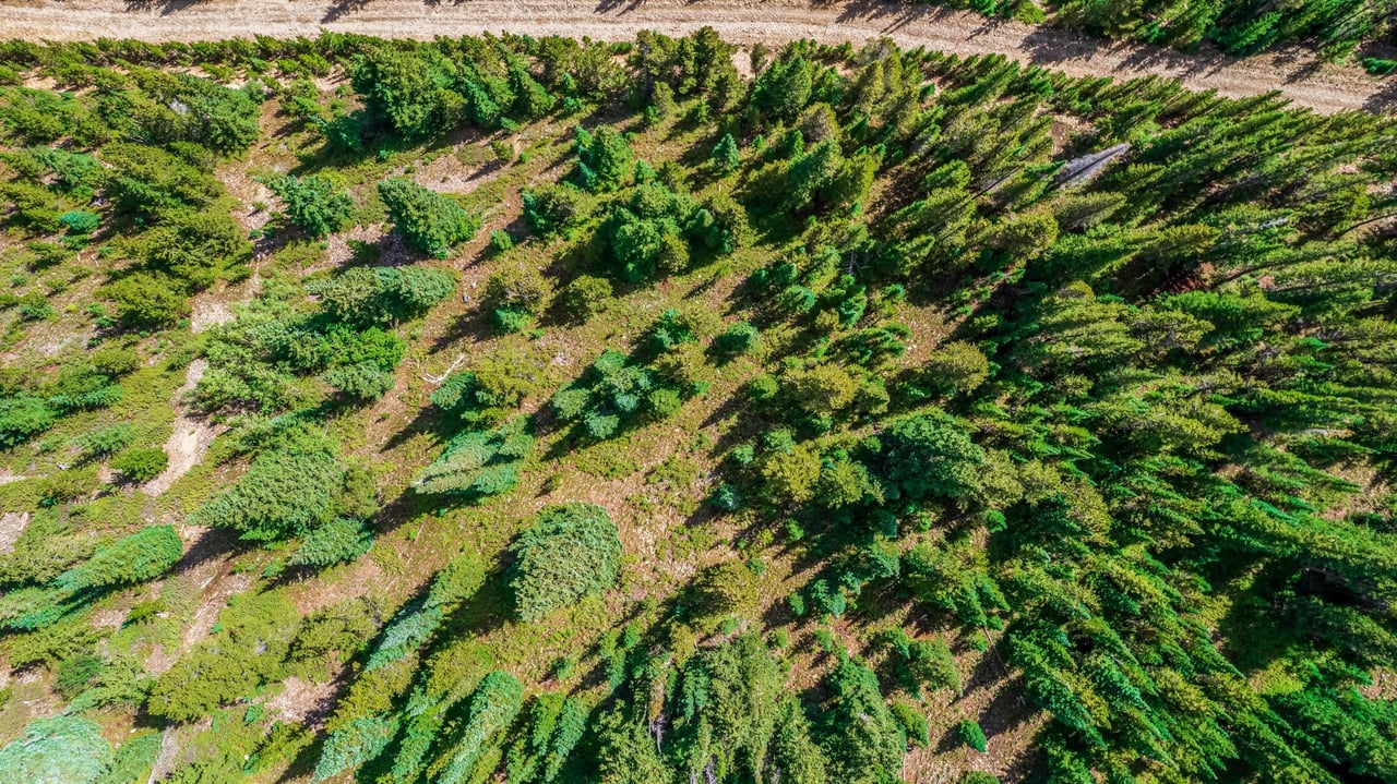 Just Listed: Discover High Country Living in St. Mary's, Colorado!