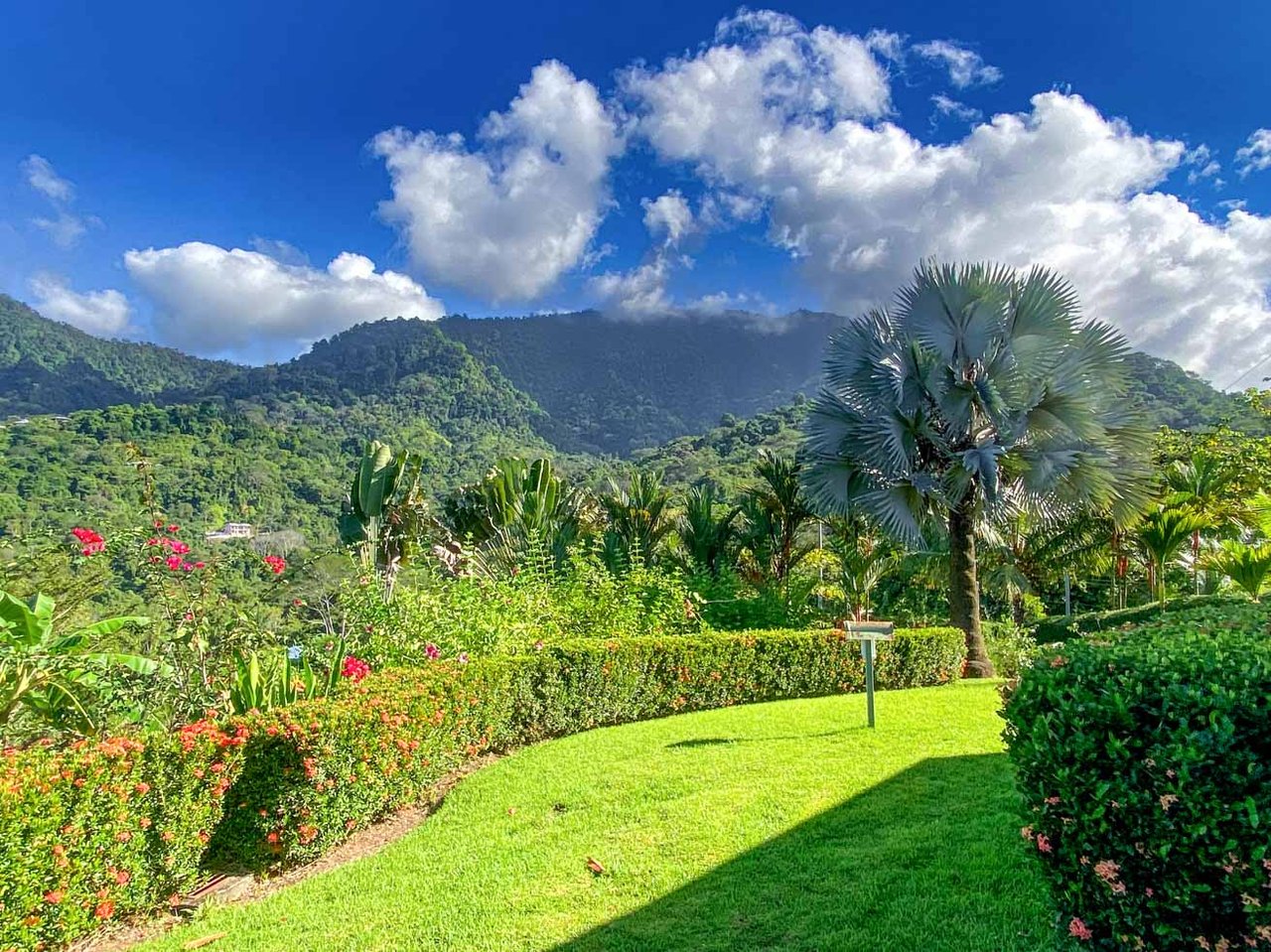 Ocean, Jungle & Mountain View Home in Ojochal | Protected Jungle Setting