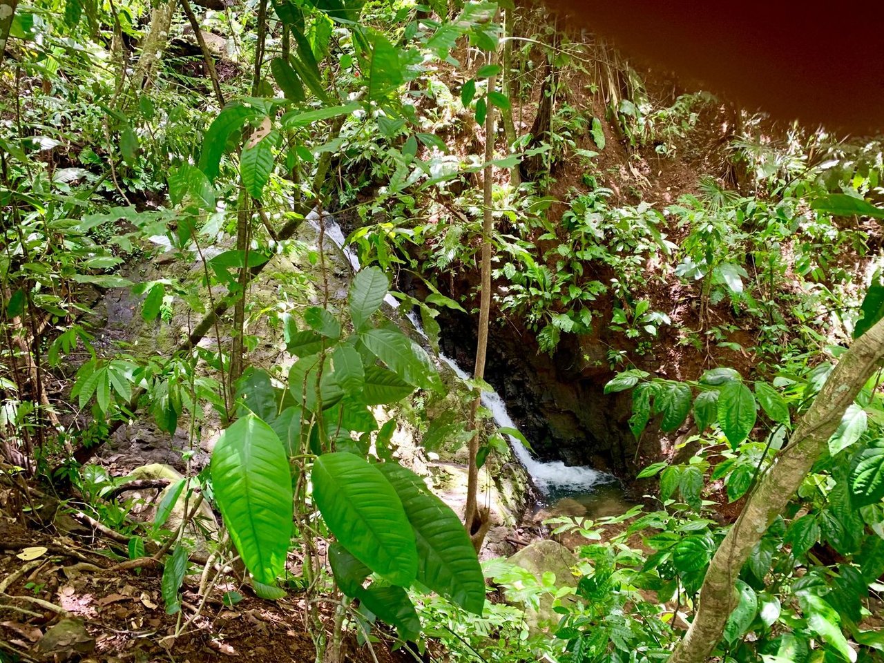 Triple Waterfall Ocean View Land, Dominical, Puntarenas