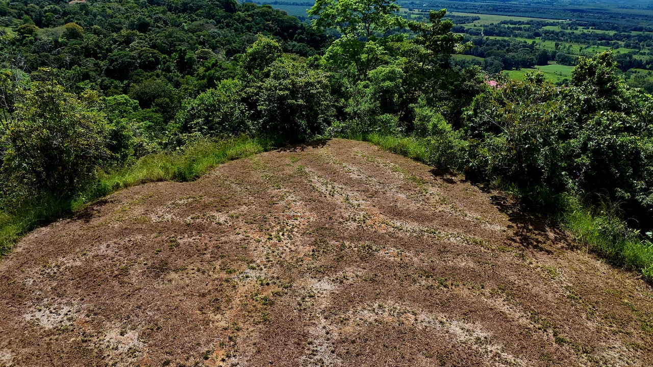  FIRE SALE! Two Adjacent Ocean-View Lots Sold Together – Chontales, Osa (10,487 m² + 9,844 m²)