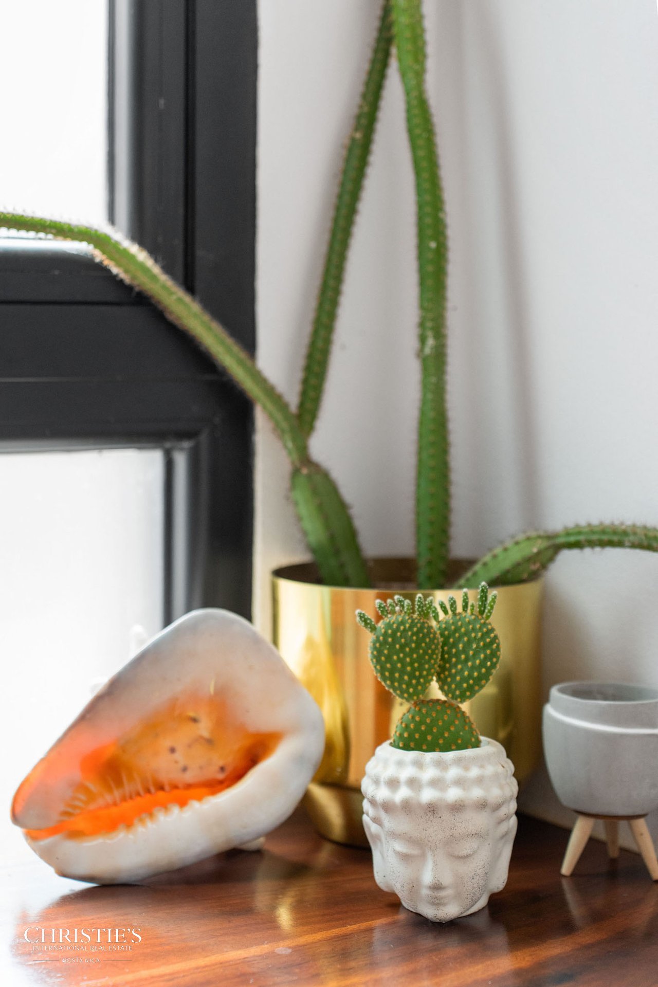 Casa Lola – Contemporary Beachside Oasis in Playa Grande