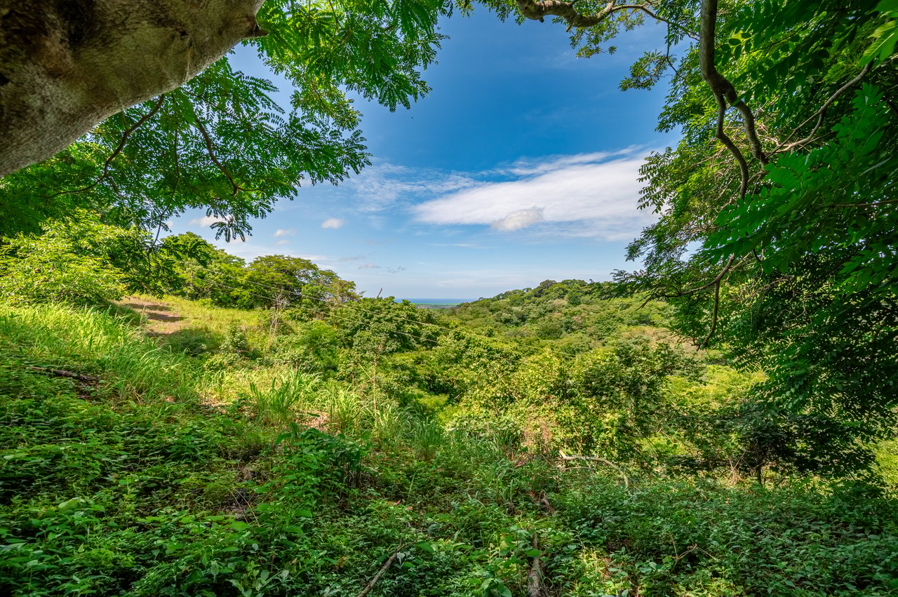 The Enclave At Los Cielos | Ocean & Mountain View Lots Near Playa Avellanas – From $85,000 to $275,000