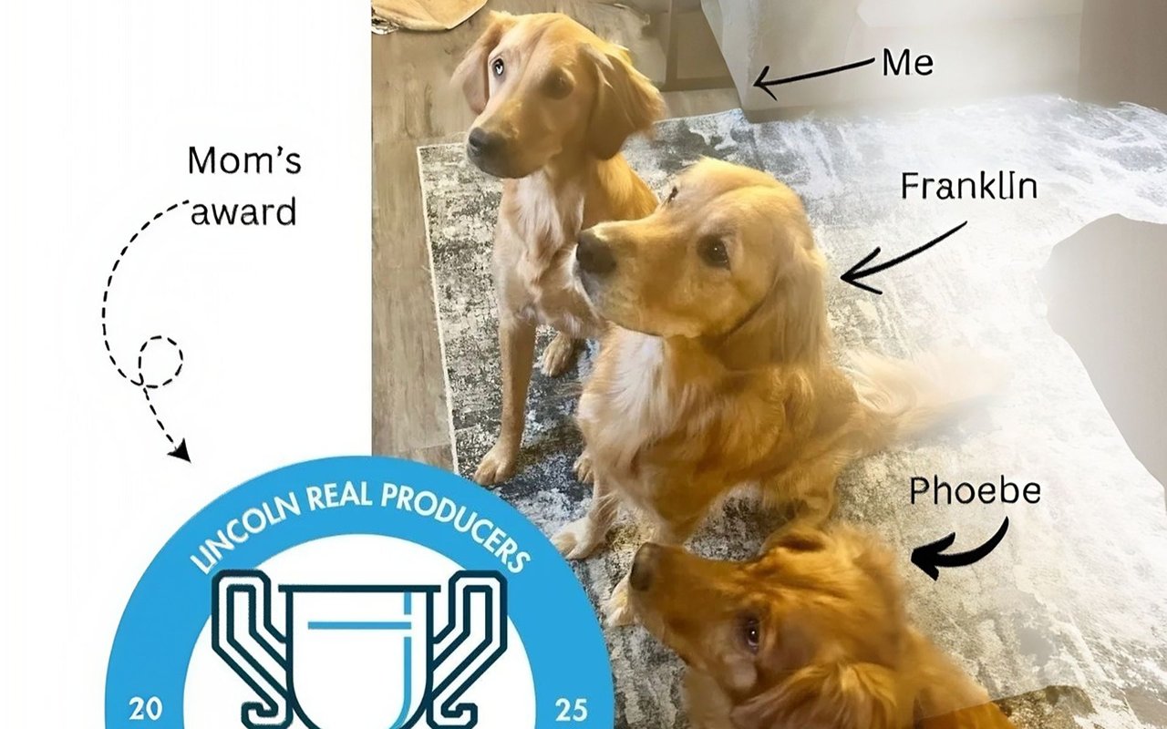 Marley’s Weekly Wag: House-Selling Adventures and Big Milestones!