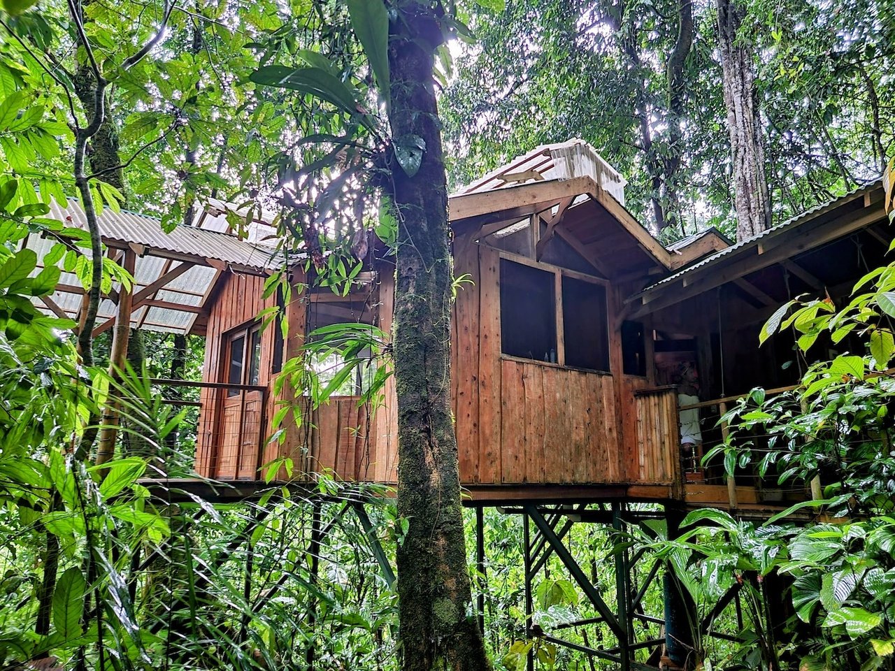Sustainable Community House, Osa, Puntarenas