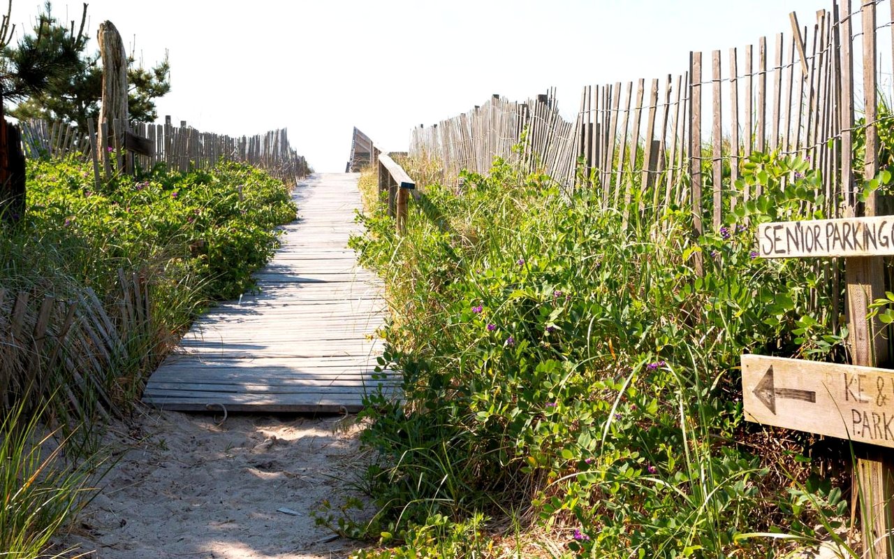 Wooden boardwalk crossing grassy dunes, with beach parking signs along the path.