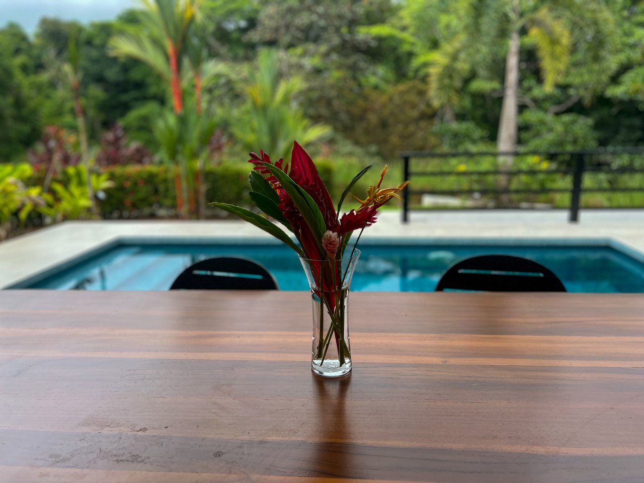 Casa Canto del Río ✨ – A Natural Gem with Modern Comfort in the Heart of the Tropical Jungle