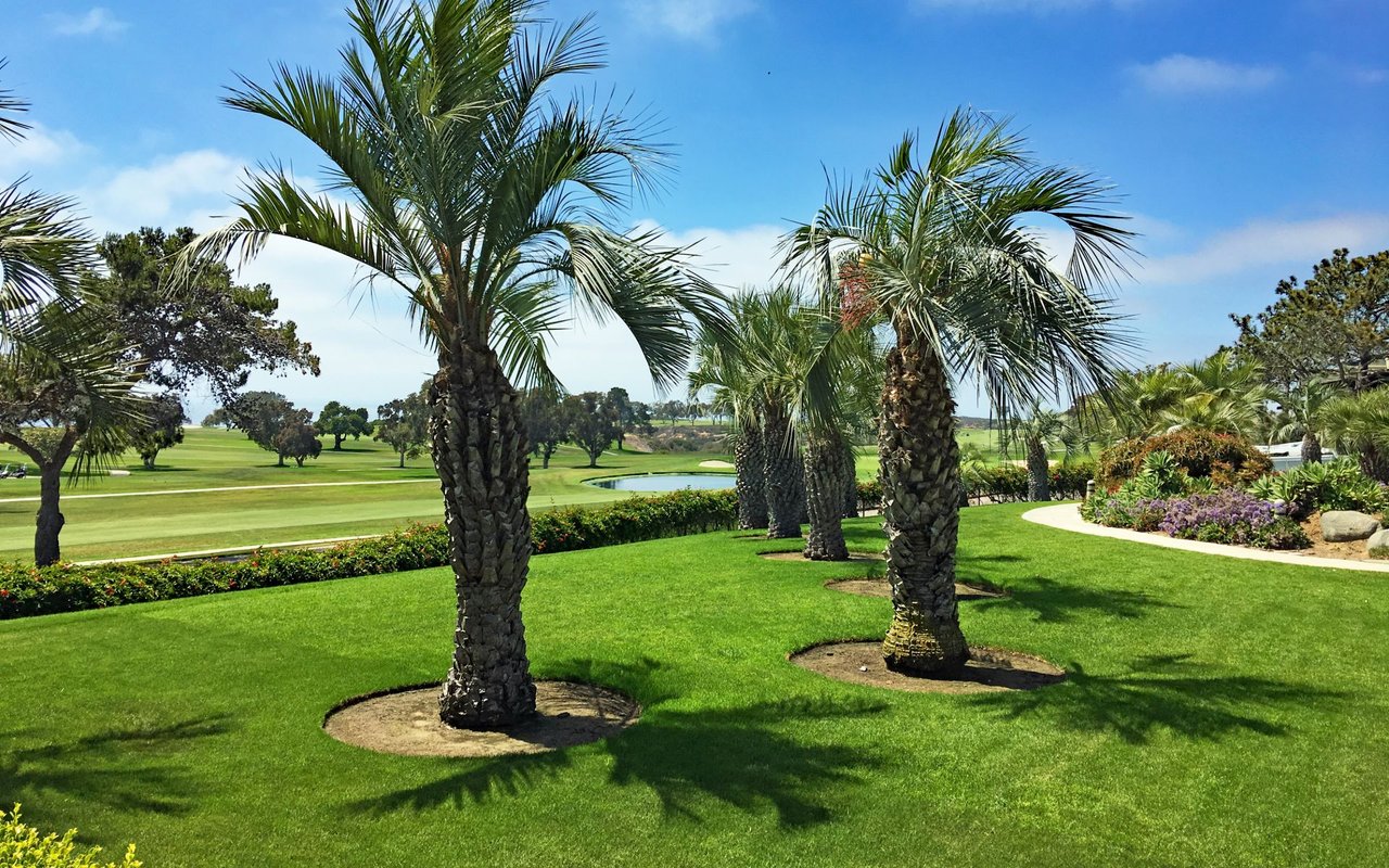 Rancho Santa Fe