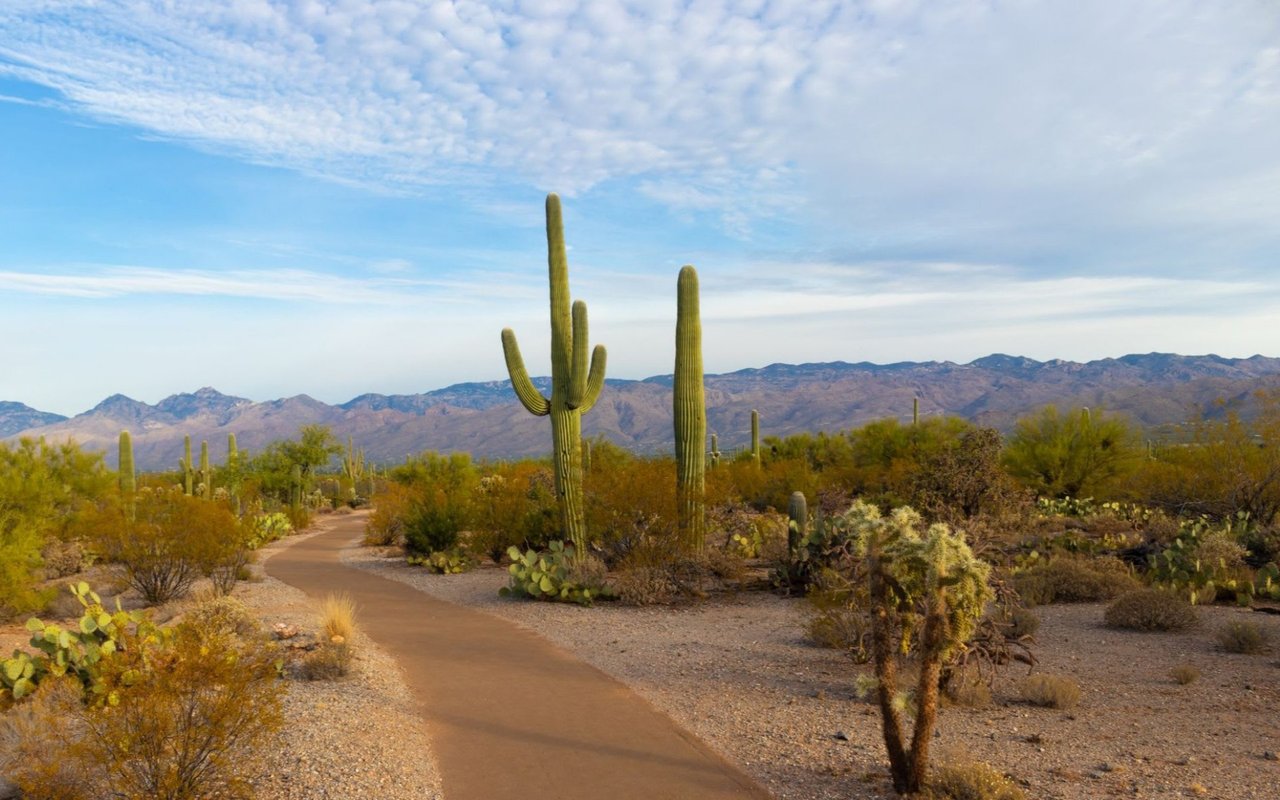 San Tan Valley
