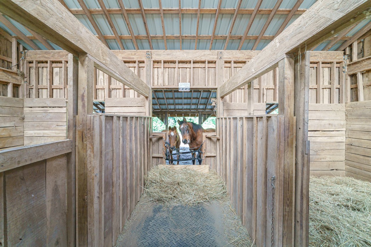 Leaning Oak Farm