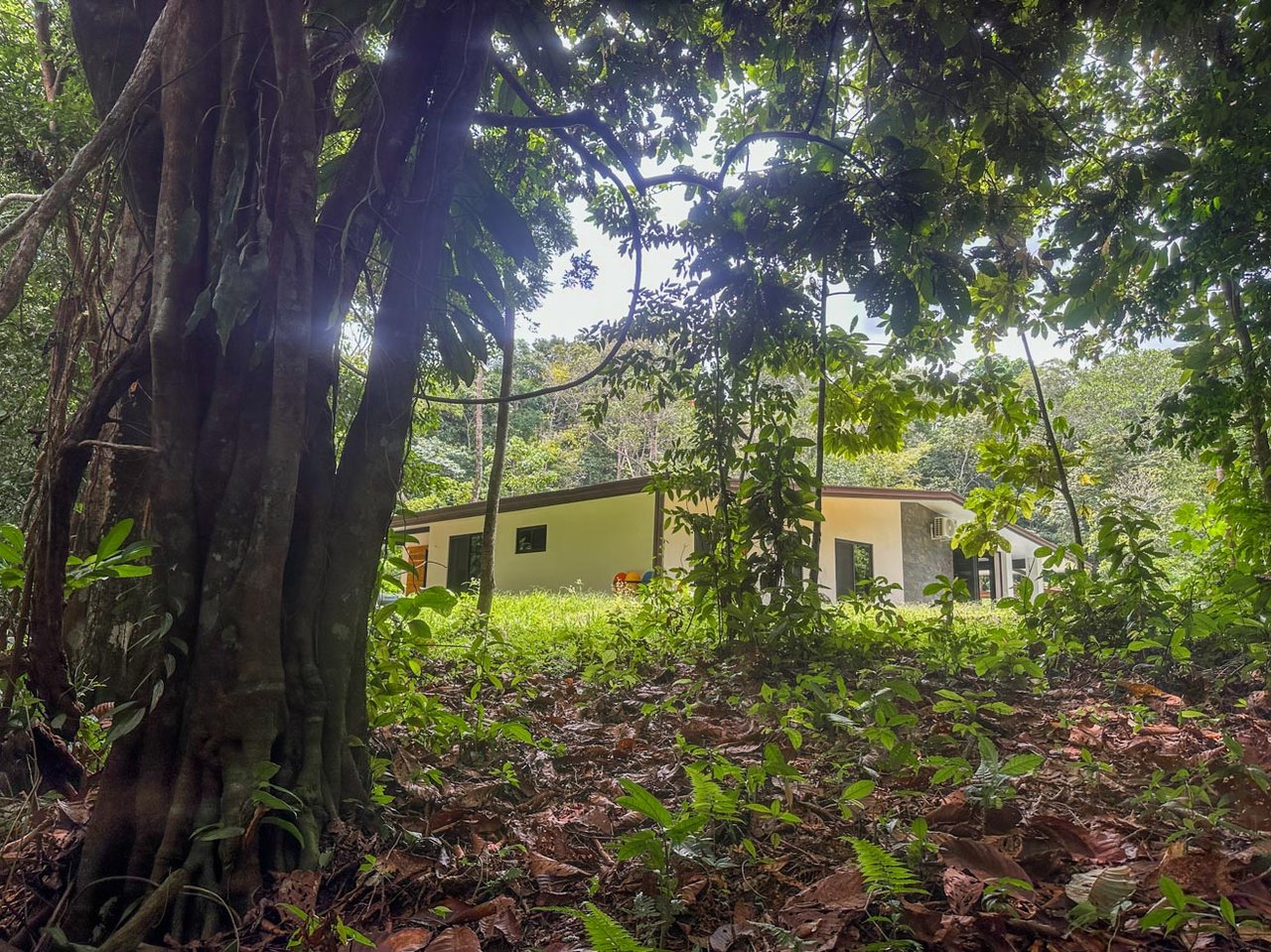Jungle Home with Riverfront and Orchard in Ojochal Costa Rica