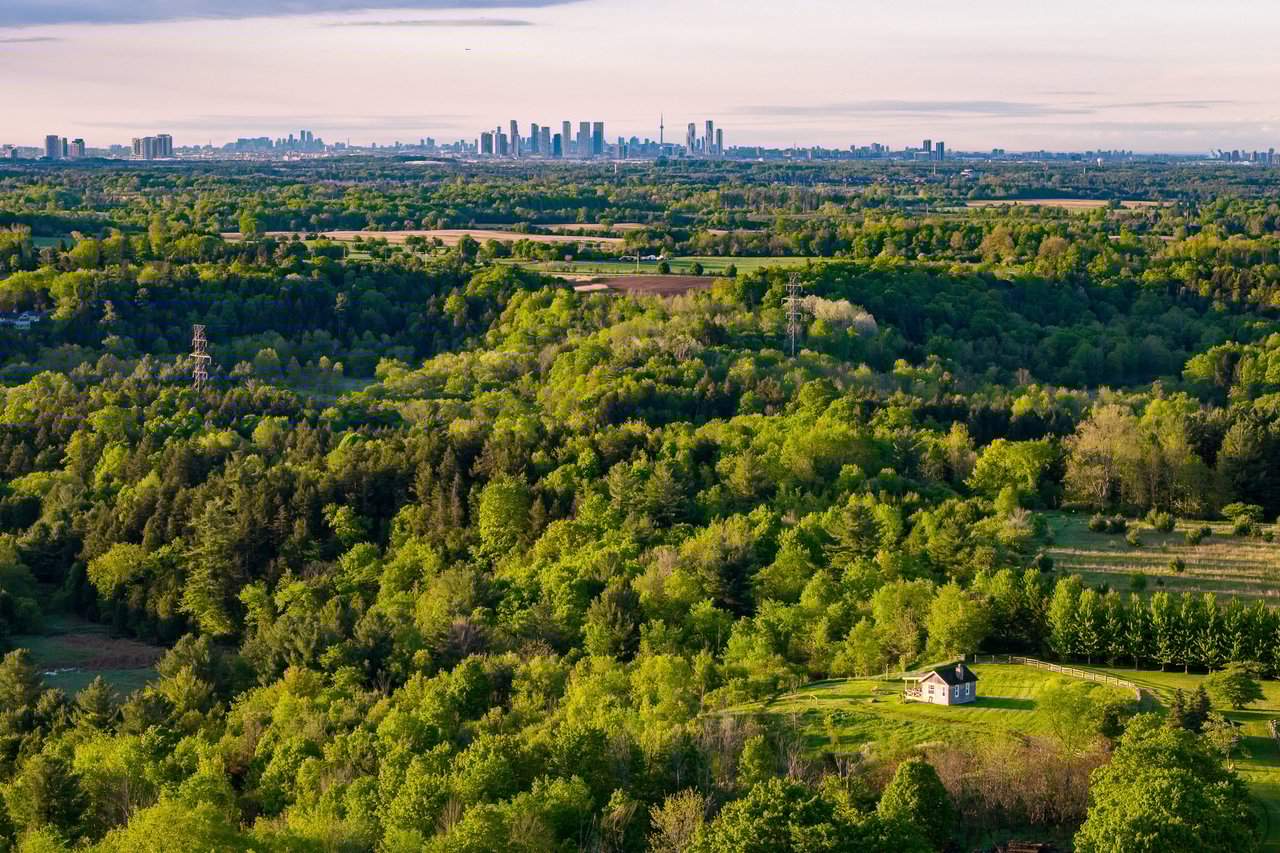 Heart of King Township