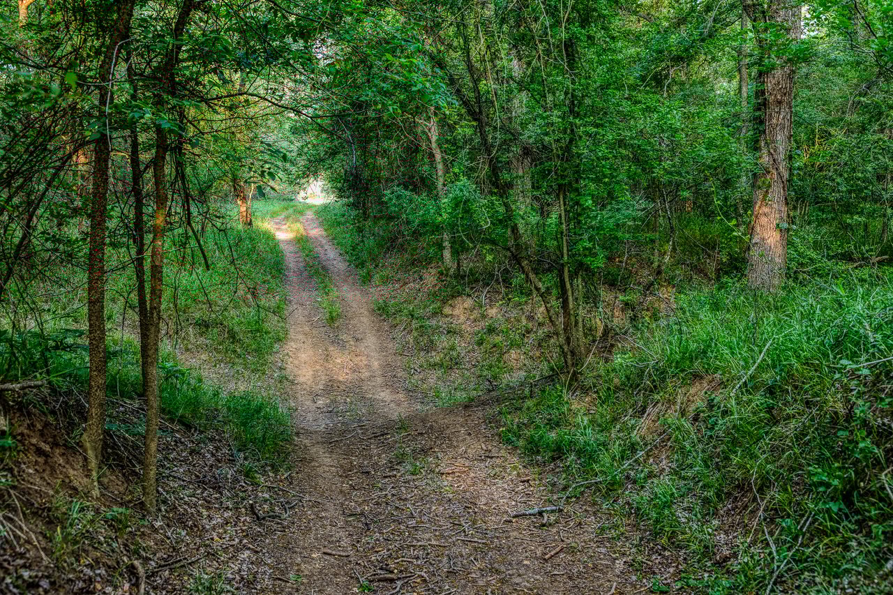 Revival Ranch TX