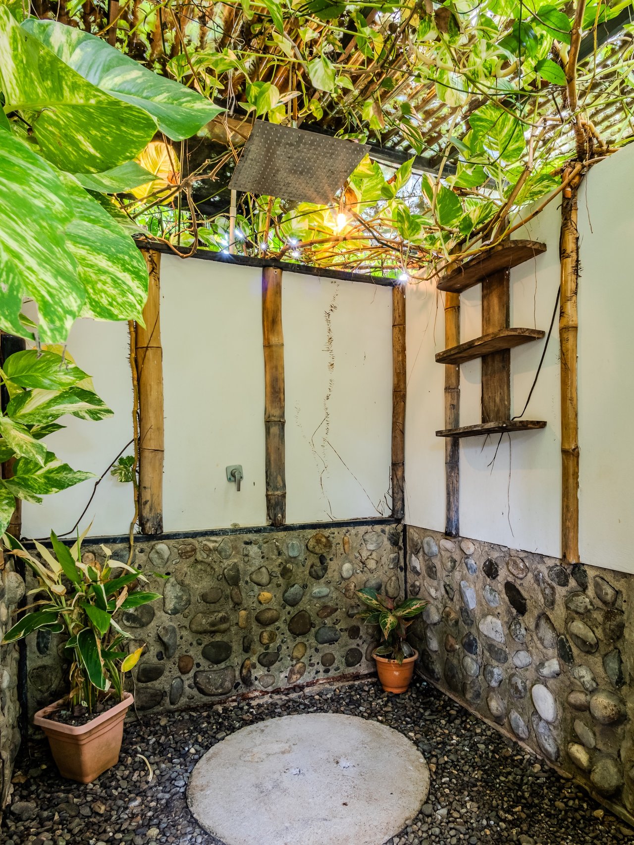 Turnkey Jungle Hostel with 16 Beds, Pool & Strong Revenue Potential Near Marino Ballena National Park