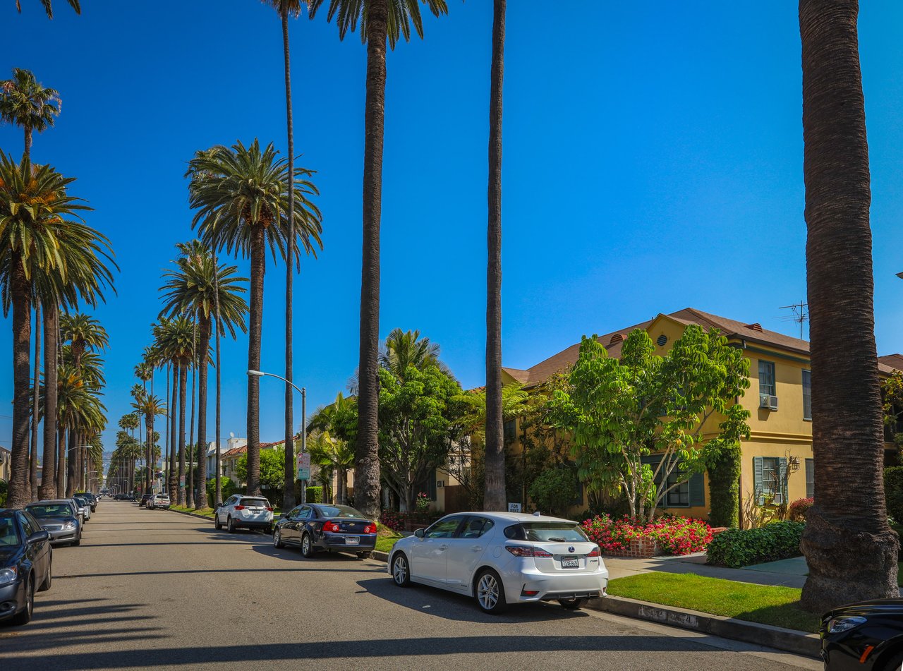 The Crown Jewel of  South Palm Drive