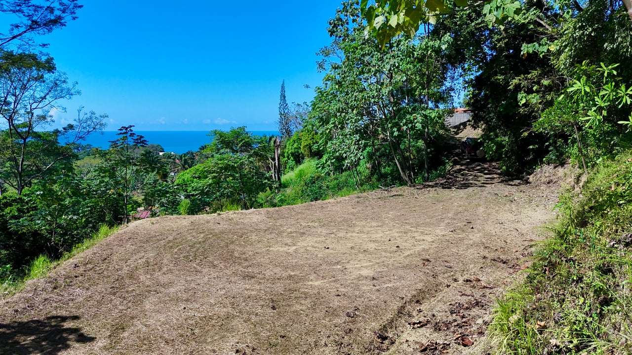 Ocean View Property in Playa Hermosa, Over 1.75 Acres