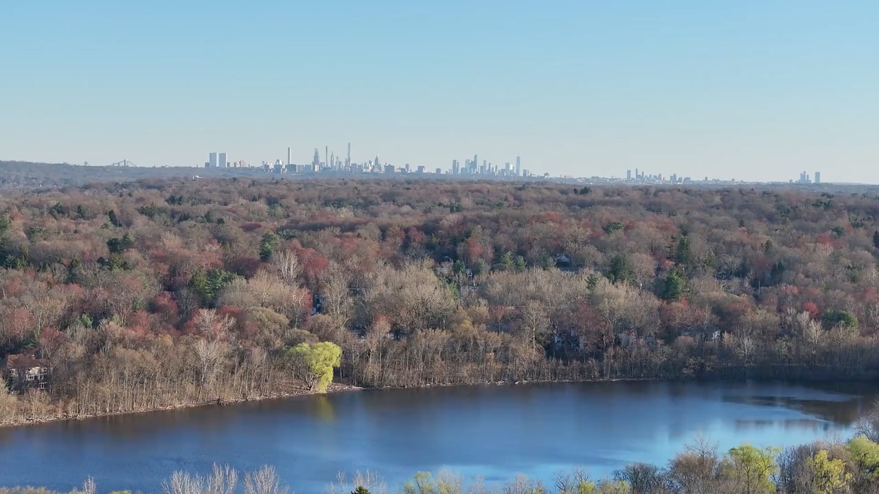 Aerial view of the Harrington Park landscape and forest canopy with a distant view of the New York City skyline.