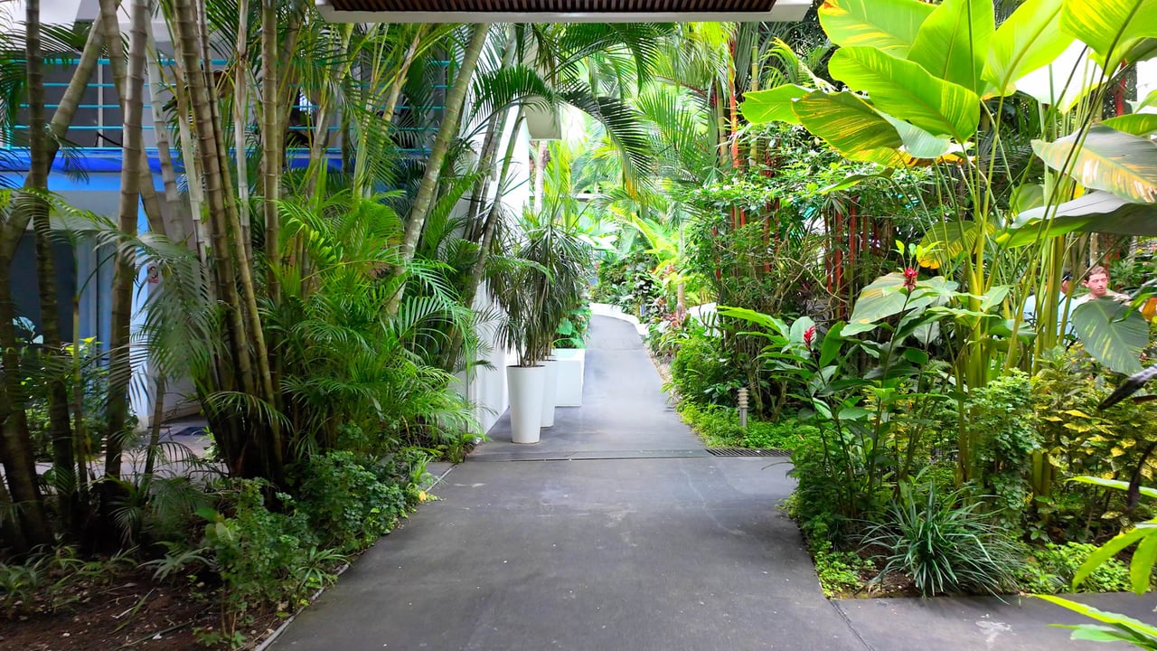 Turnkey Boutique Hotel, Manuel Antonio, Puntarenas