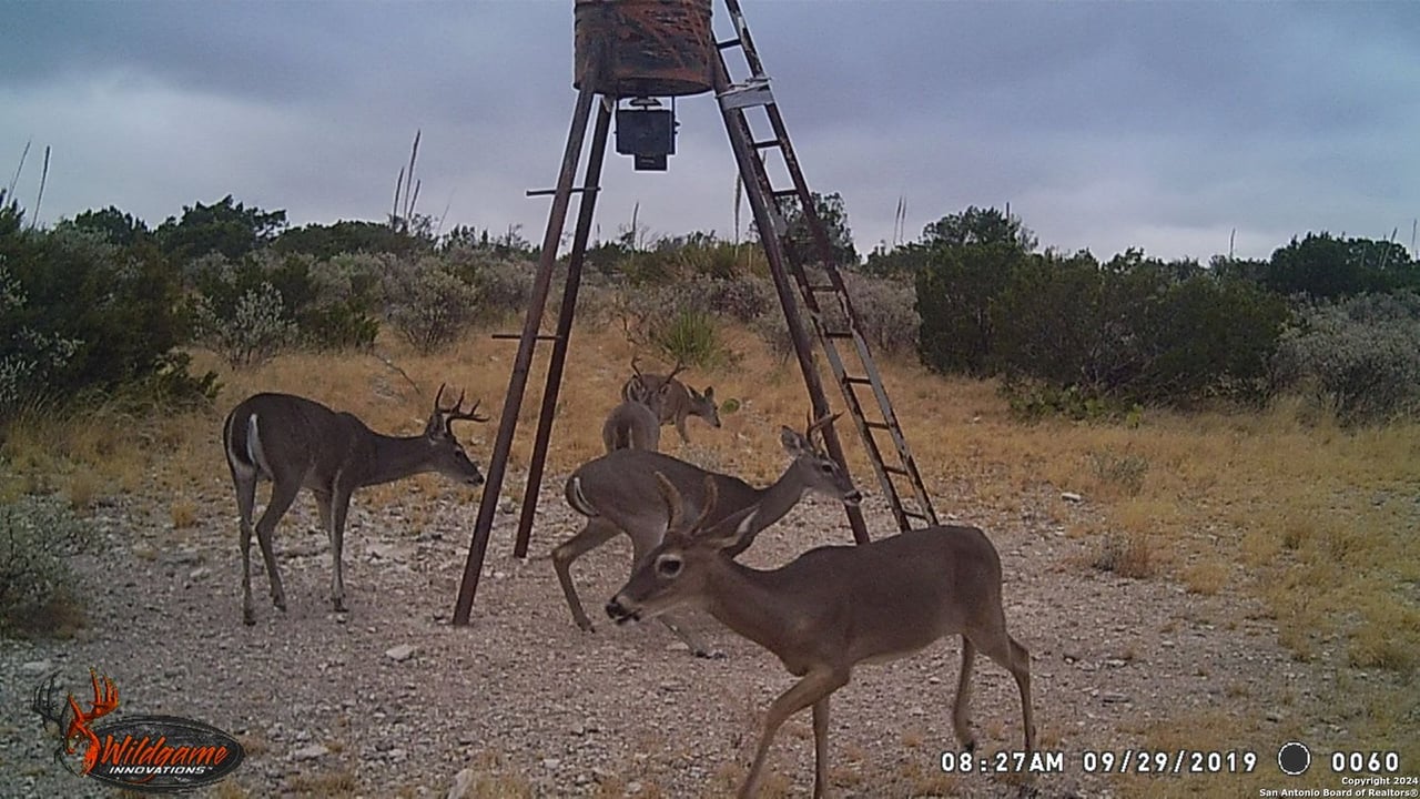 000 Ward Ranch Rd