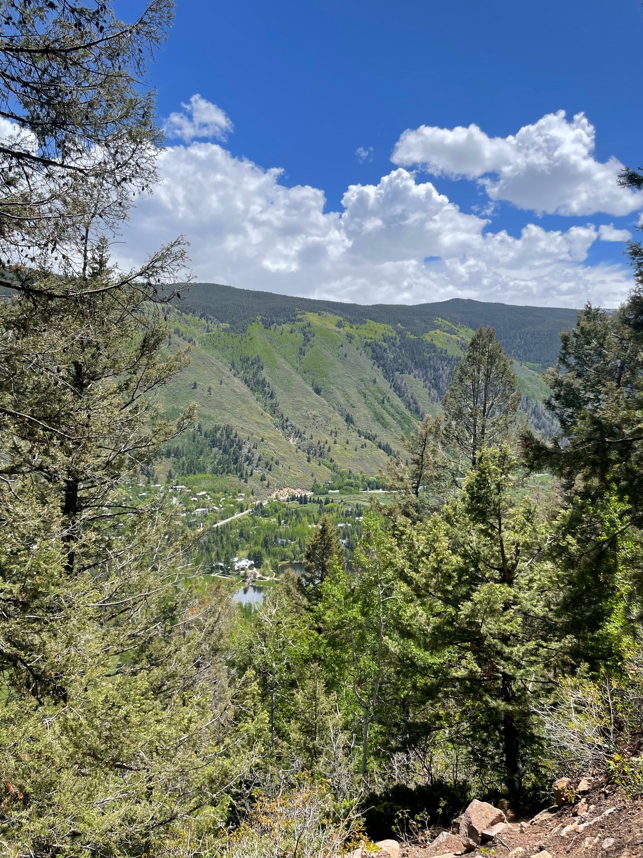 Hiking Aspen Trails - Ute Trail