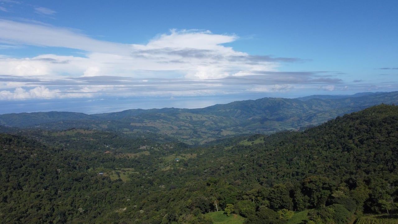 Sustainable Organic Farmstead, Perez Zeledon, San Jose