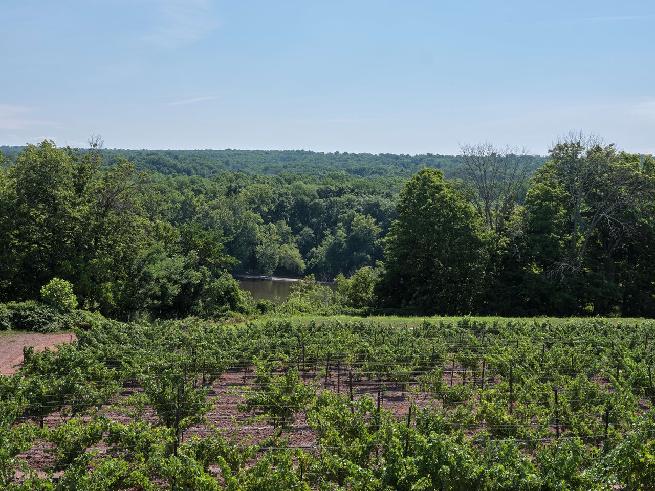 Sand Castle Winery | Bucks County, PA | $4,500,000