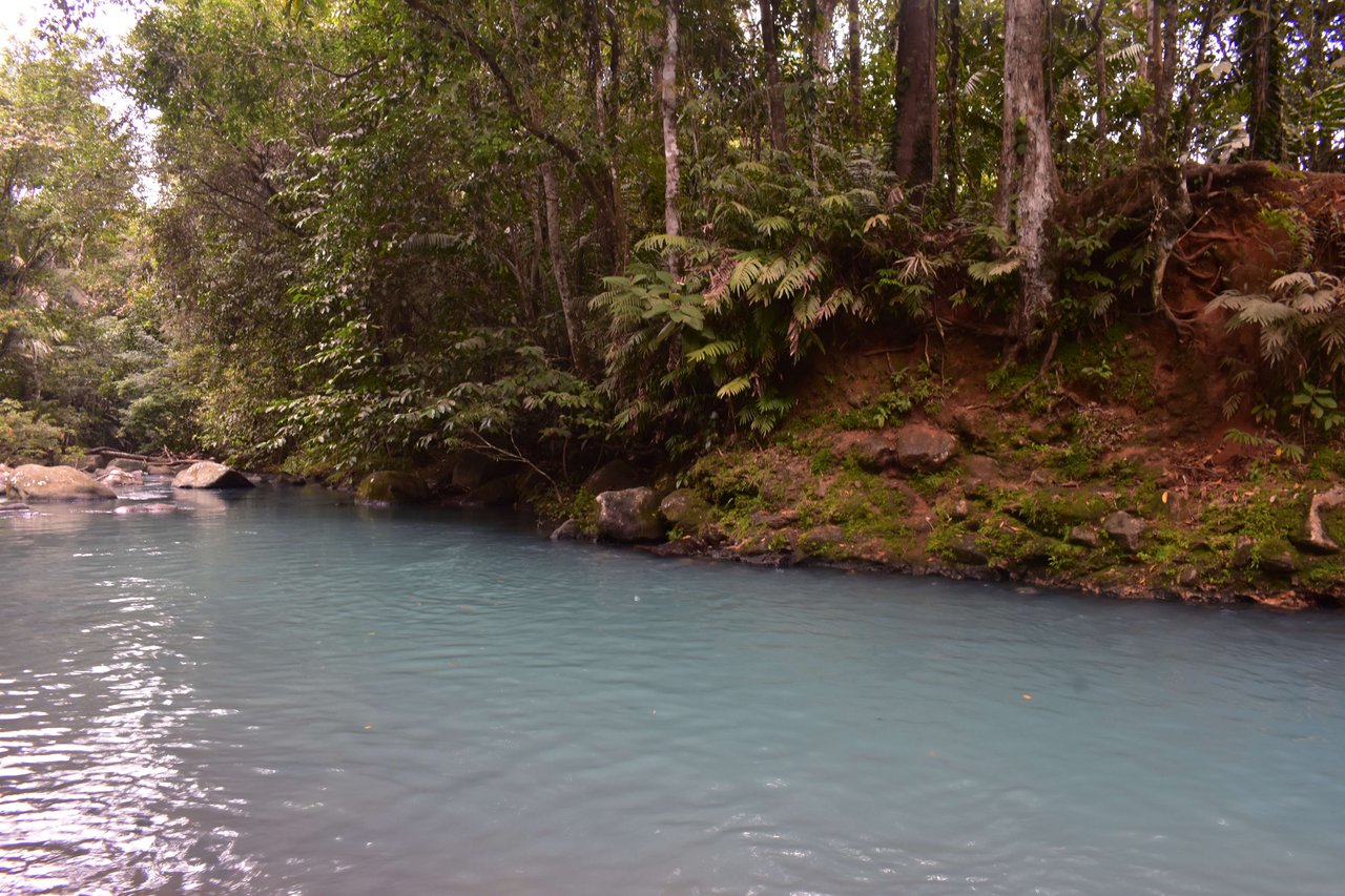 Villa Celeste Land | Embrace a unique 9-hectare Property along Rio Celeste